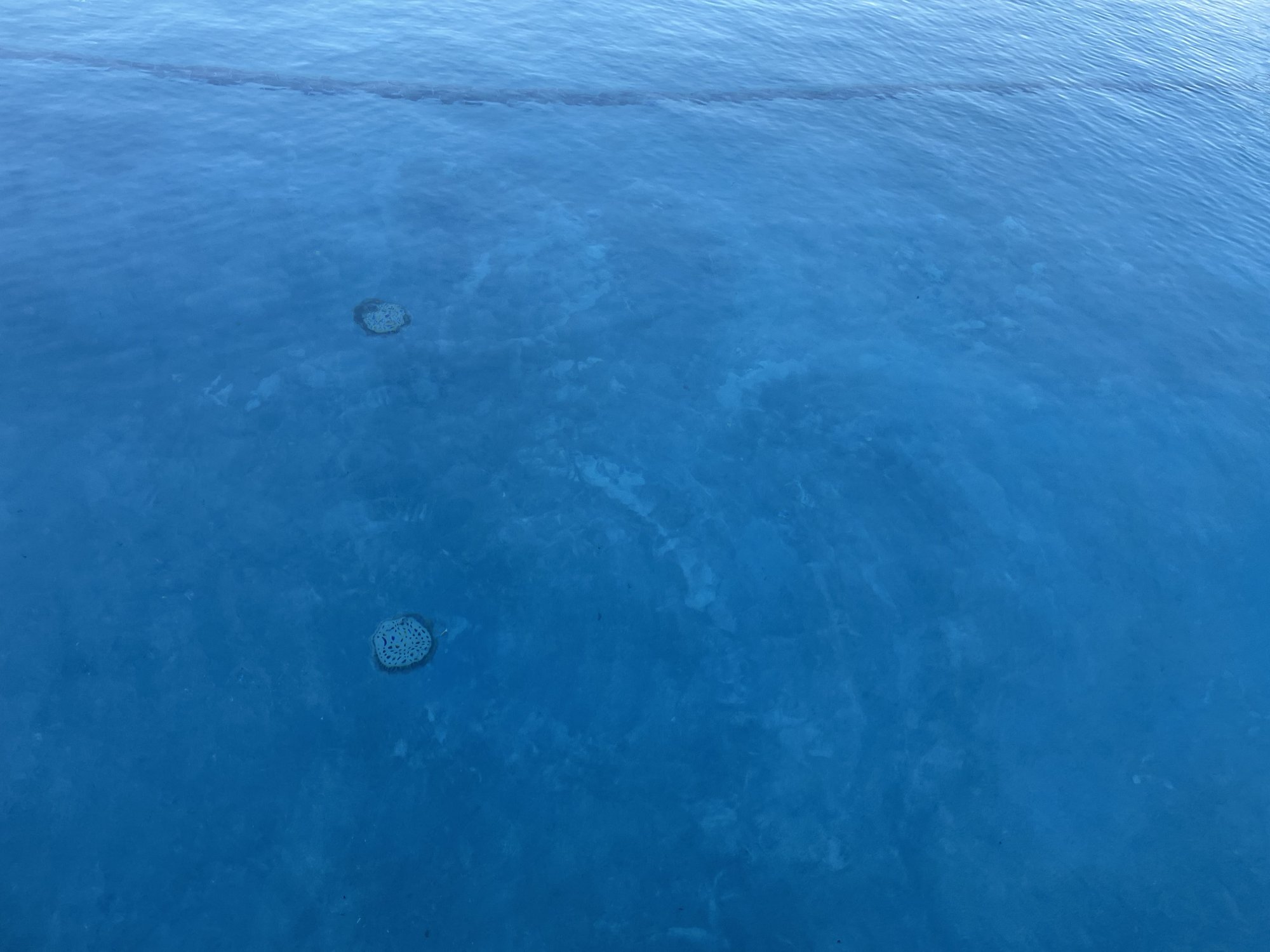 3285B06C-043F-458A-B0D0-32AC0952881D.jpeg