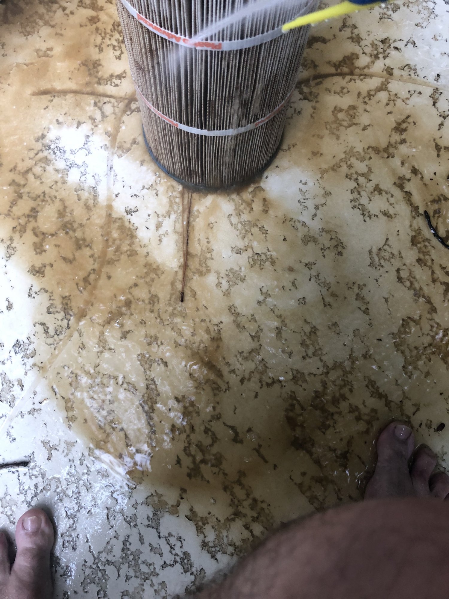 32C190F5-E0C6-4128-AA69-3079E72A7244.jpeg