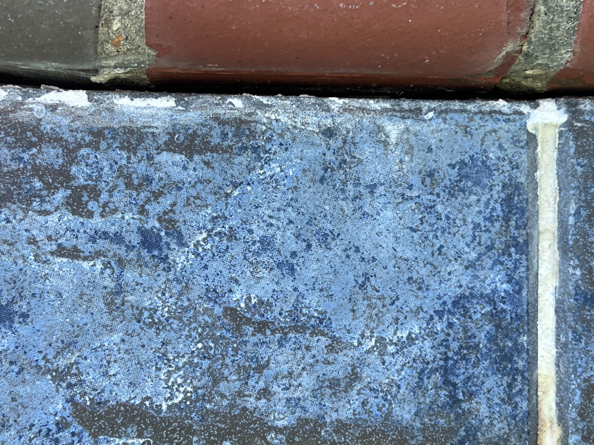 32D00232-5D47-4F42-9E4A-56827FD32630.jpeg