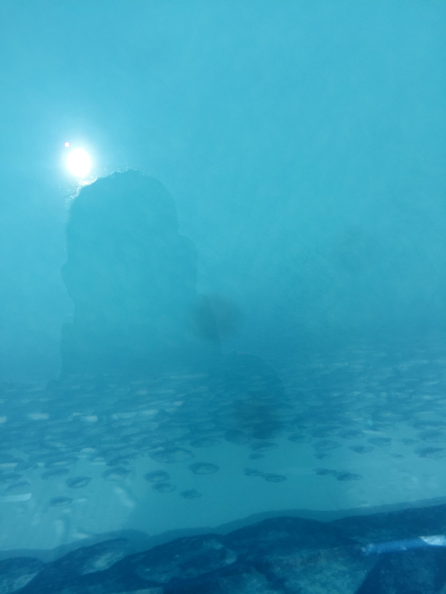333928B7-5625-494D-9C7D-58A69211BBAF.jpeg