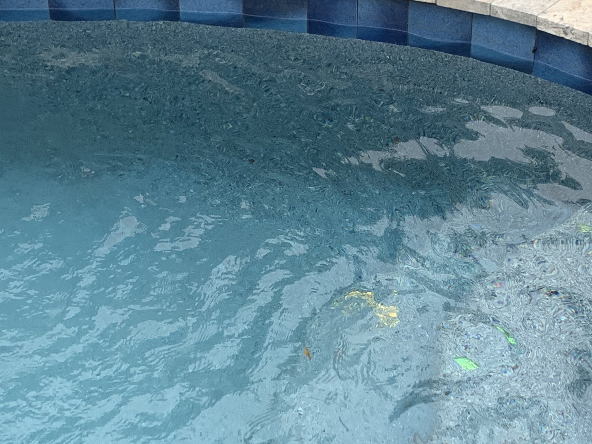 33501D01-58D0-4B65-A558-2AB4EA5521A1.jpeg