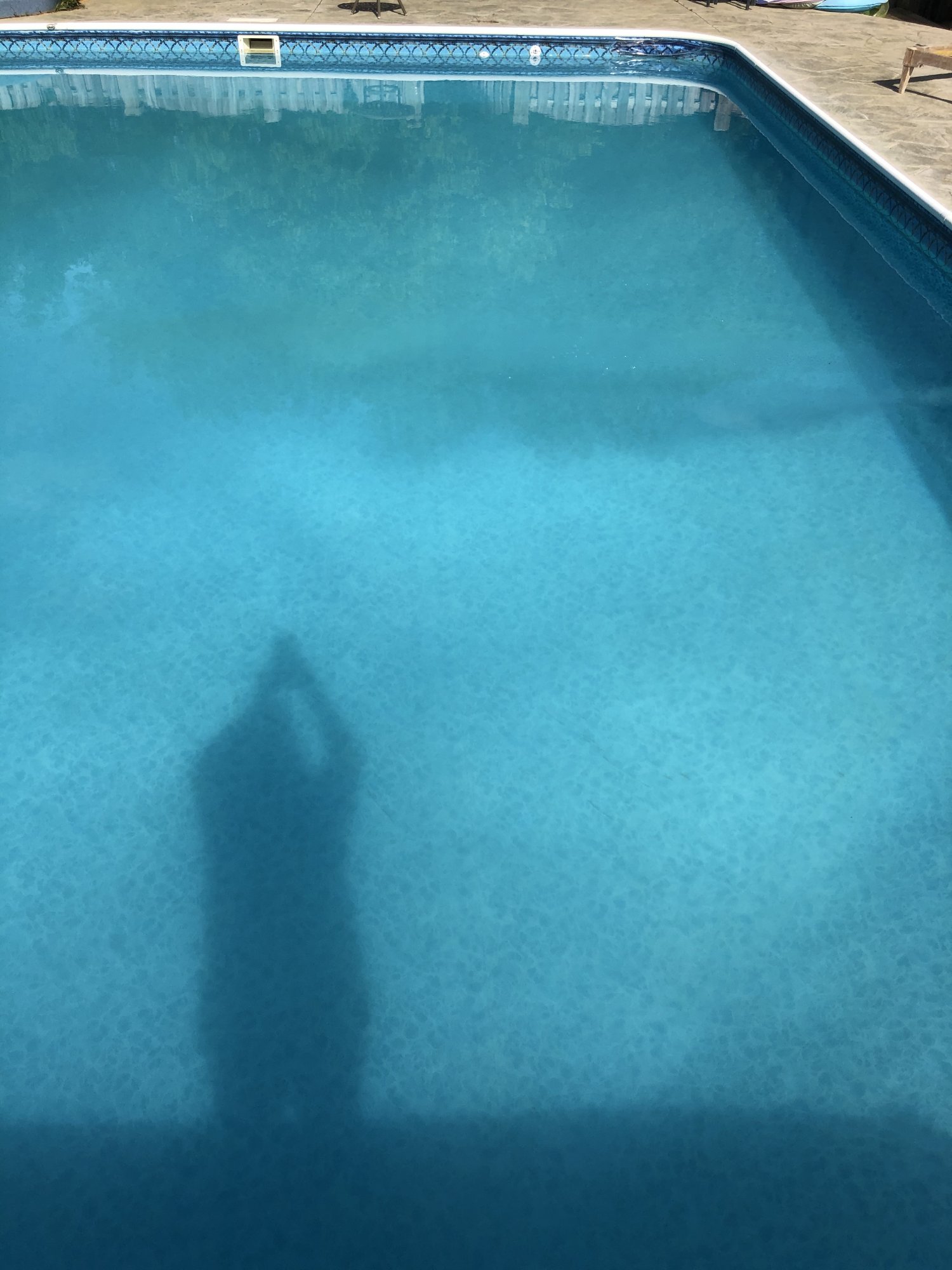 342067E8-E979-433E-B01B-51E65B078273.jpeg