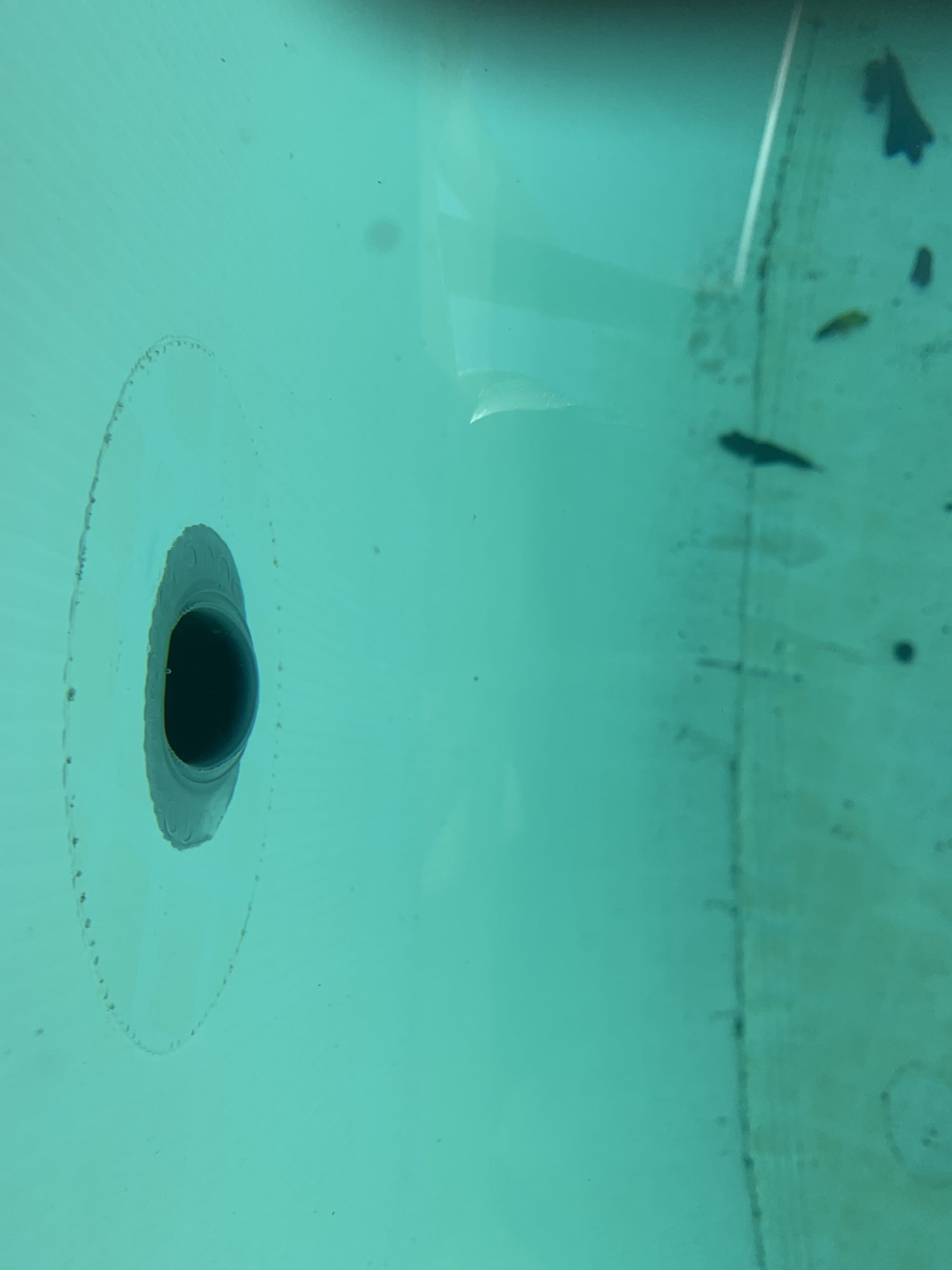 362A7D69-05E0-44C5-A1C2-D0926D729D7C.jpeg