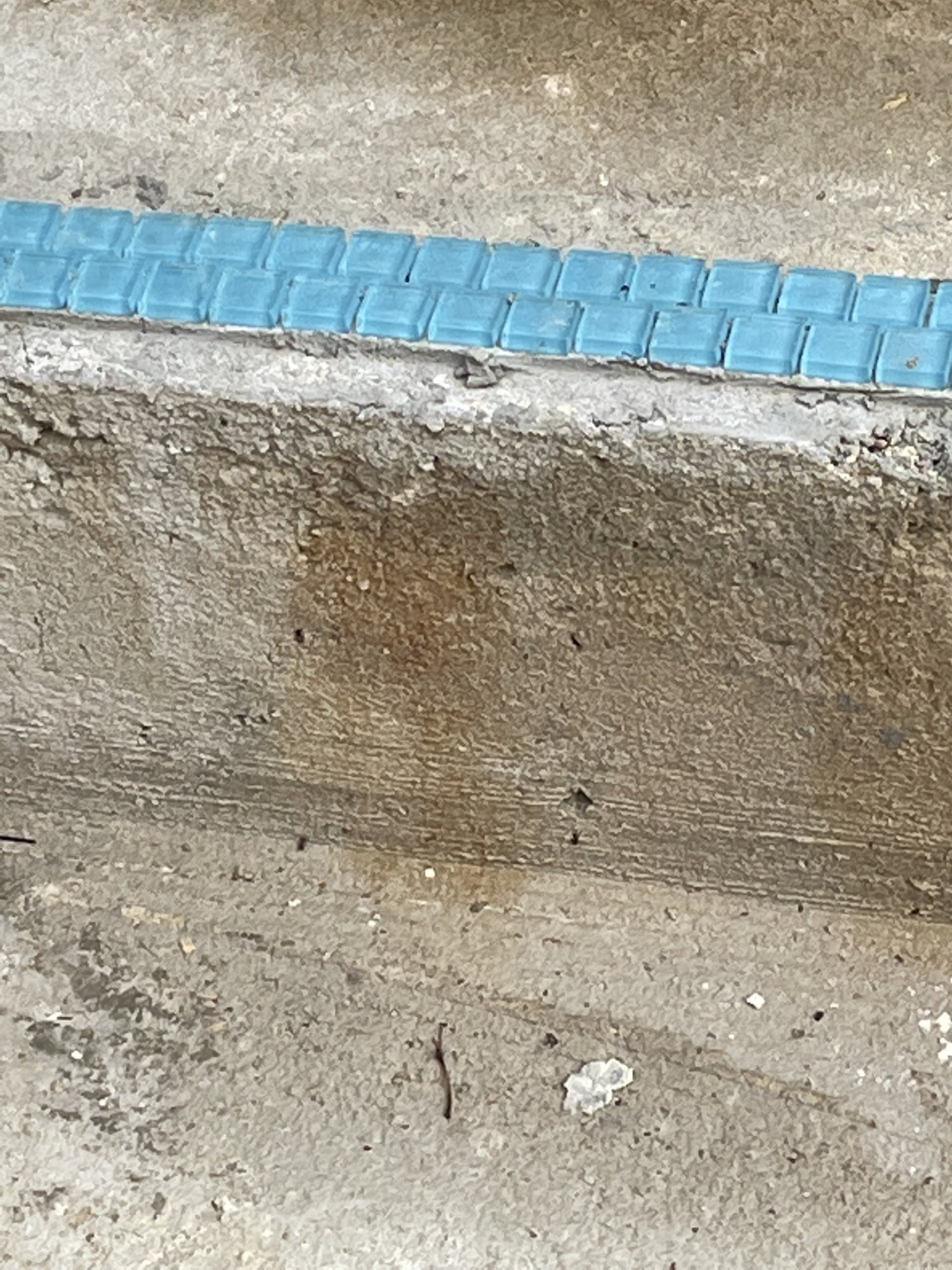 3806EEF7-6AF8-4222-9D77-62C961B667E4.jpeg
