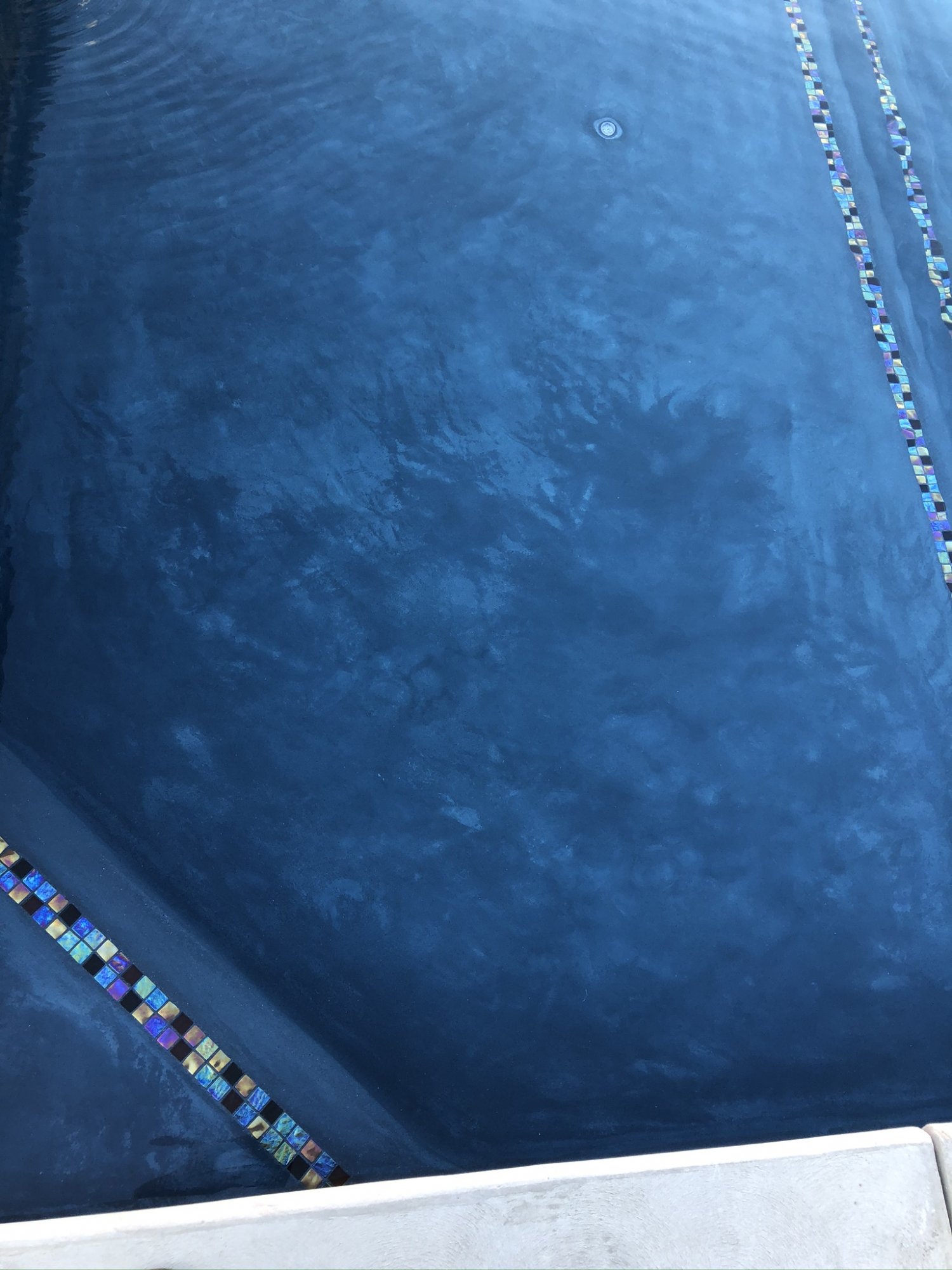 38685206-2DAF-4F6E-ADC1-C14A52F562EF.jpeg