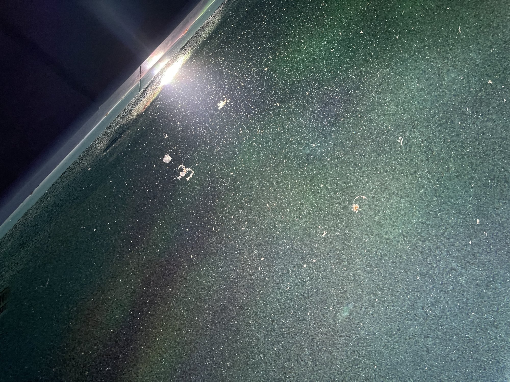 3899E41F-0CB7-404C-A738-5F753CE4C8C9.jpeg