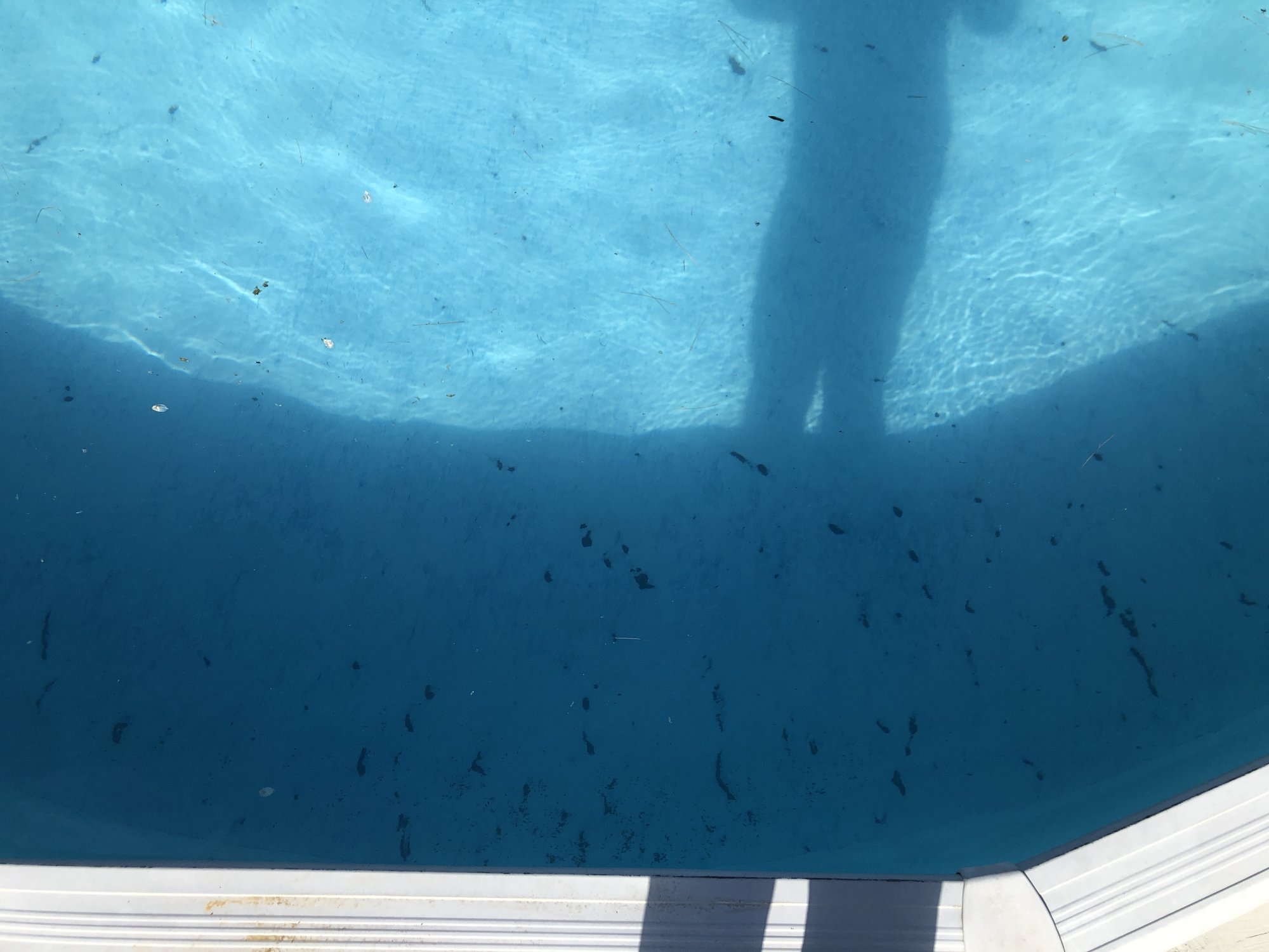 38CF2325-AF82-46F2-A02E-3C432AC38887.jpeg