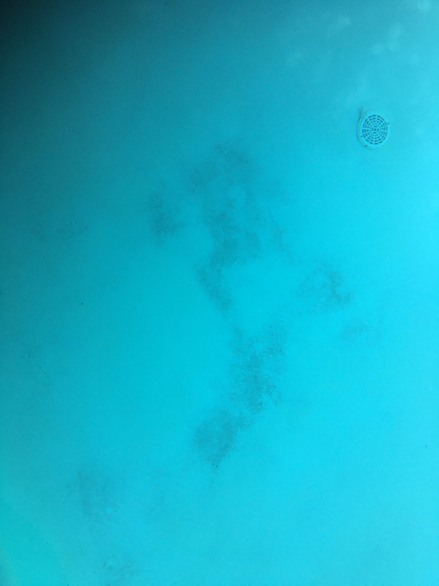 39425D91-FBC3-48E8-ACBE-ED6B1BBCCEC1.jpeg