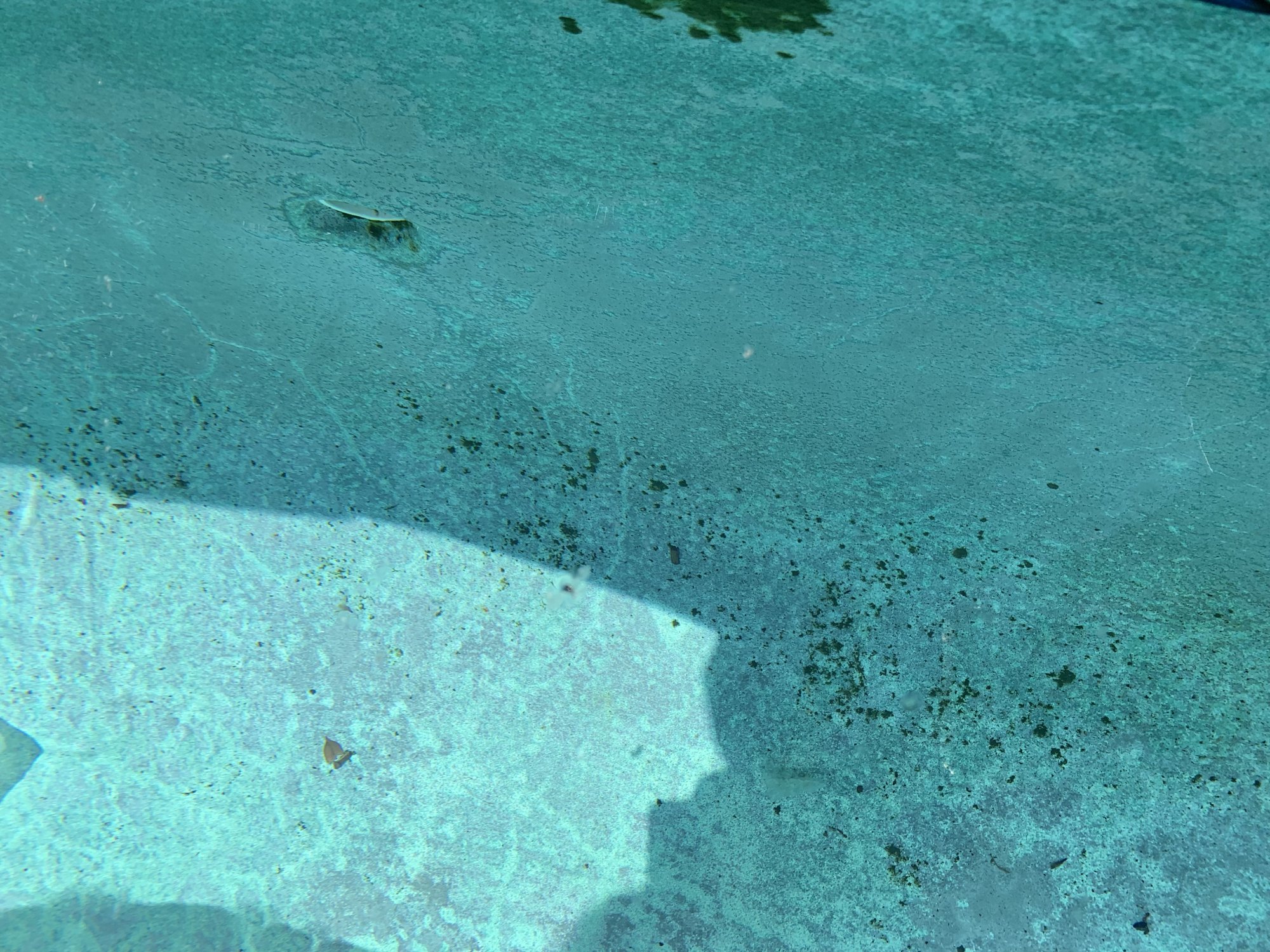 39F03E81-B84C-403D-A2F9-881A01F820A3.jpeg