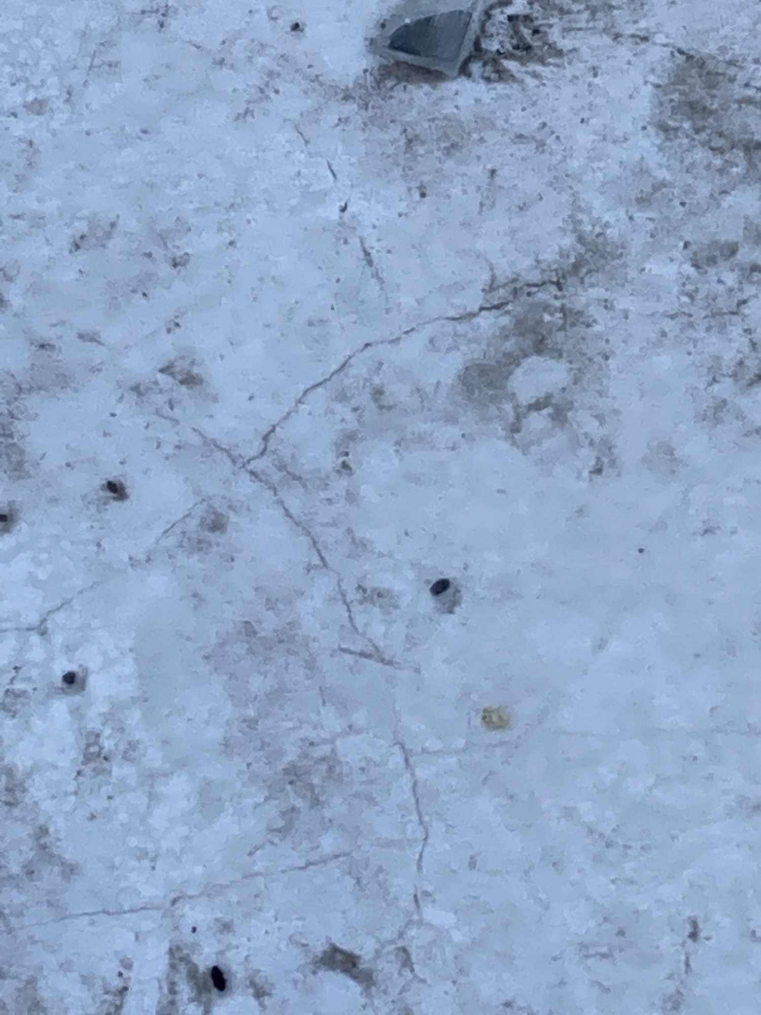 3C378AF5-39B7-4DEA-84F0-8AB6209C43A3.jpeg