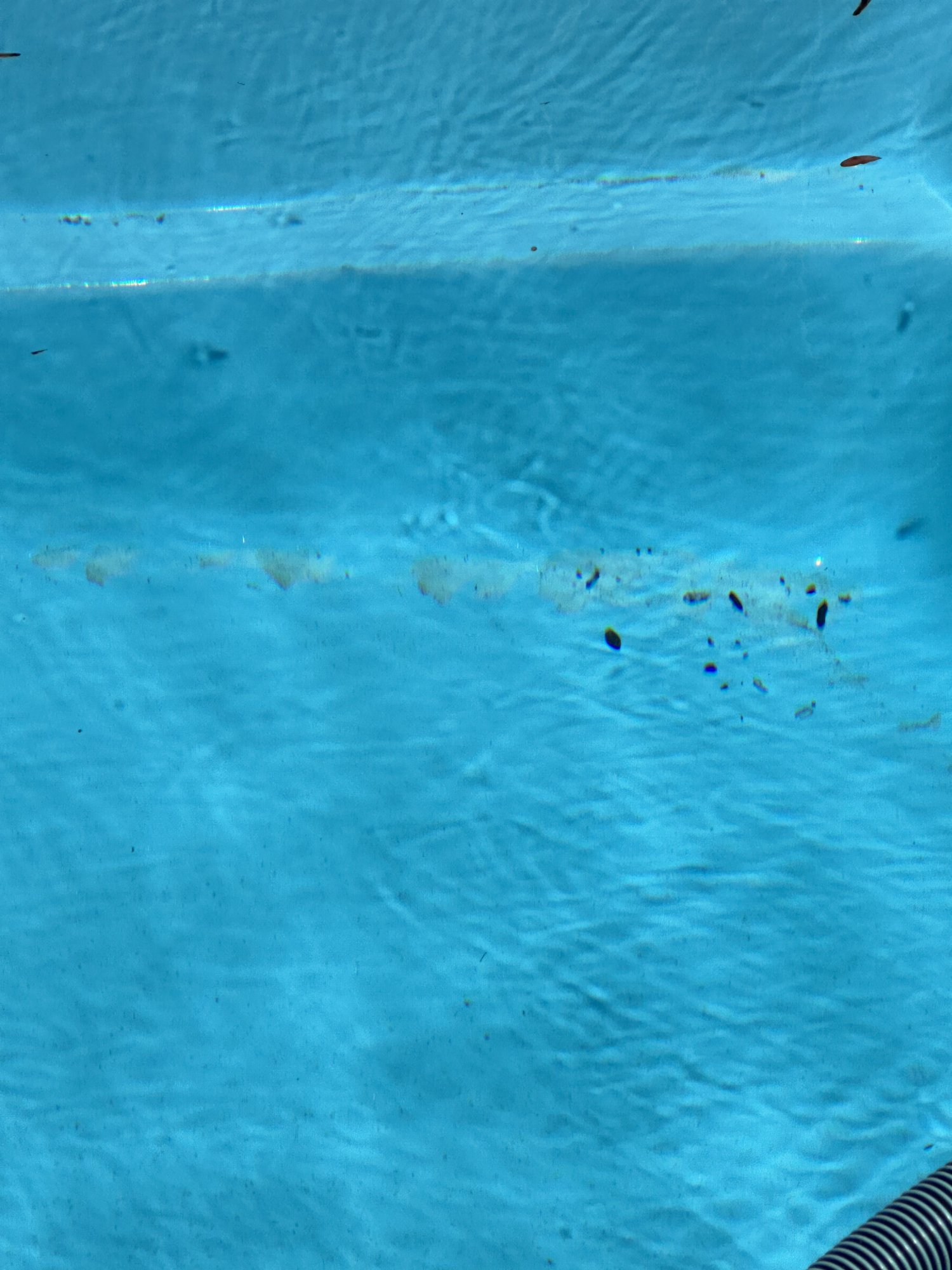 3E772D28-7C0C-4708-BBA0-A700FE2AFF5E.jpeg
