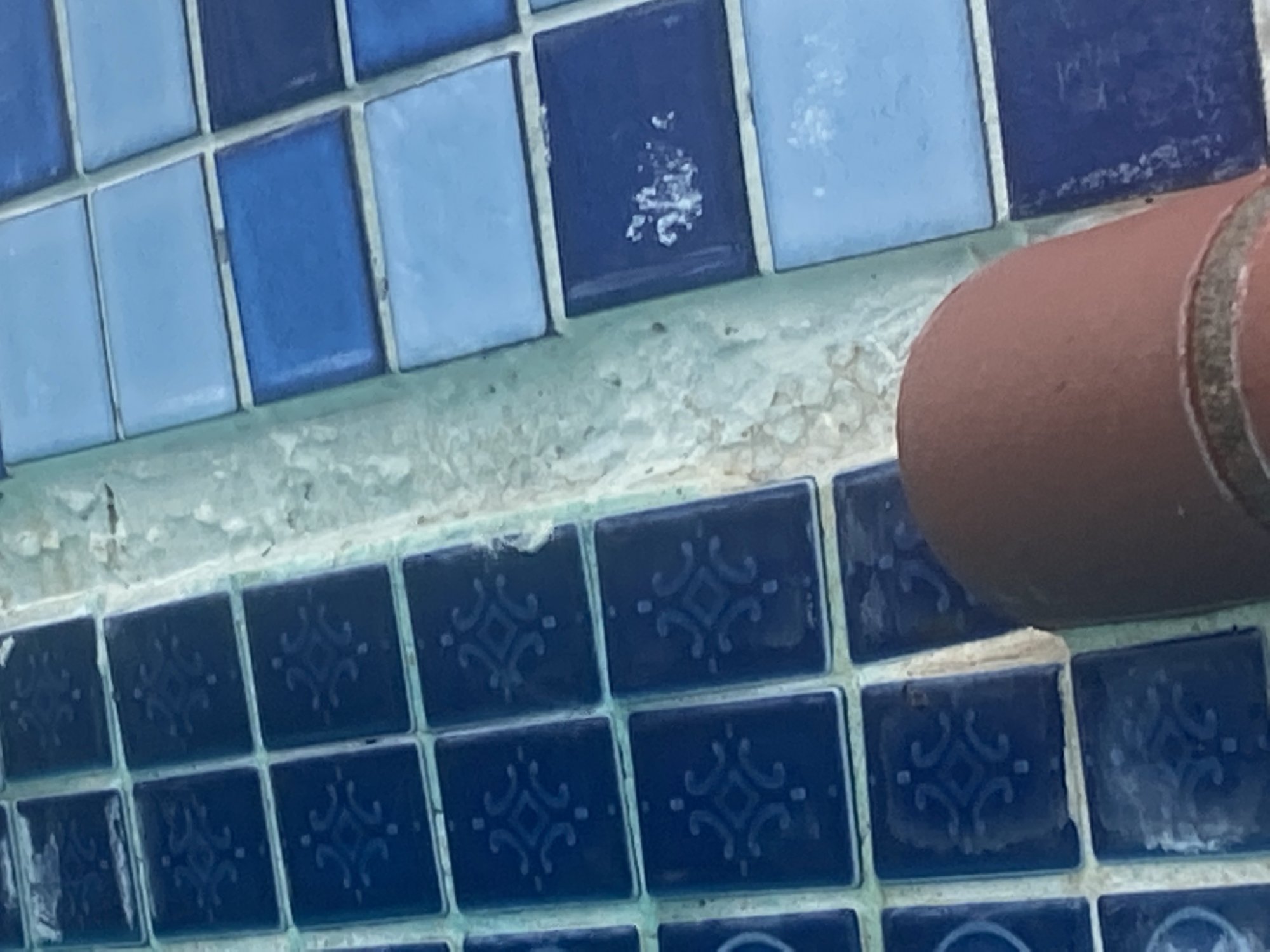 3E878748-2339-411D-B94E-2FA4E93164BD.jpeg