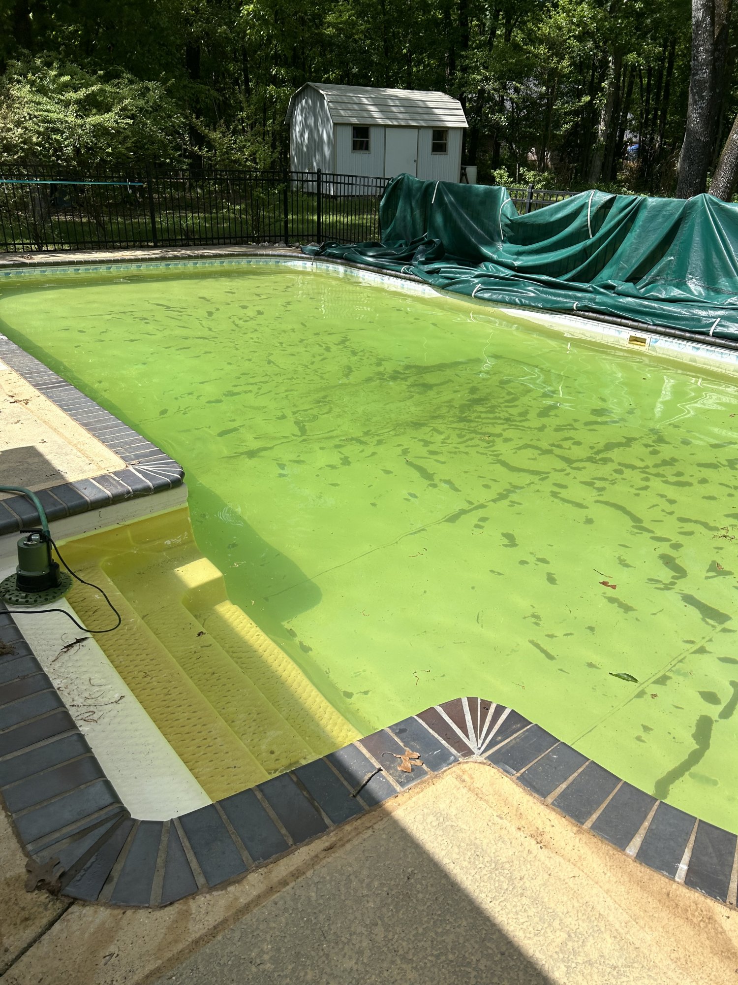 4.15.23 Pool Uncovered.jpg