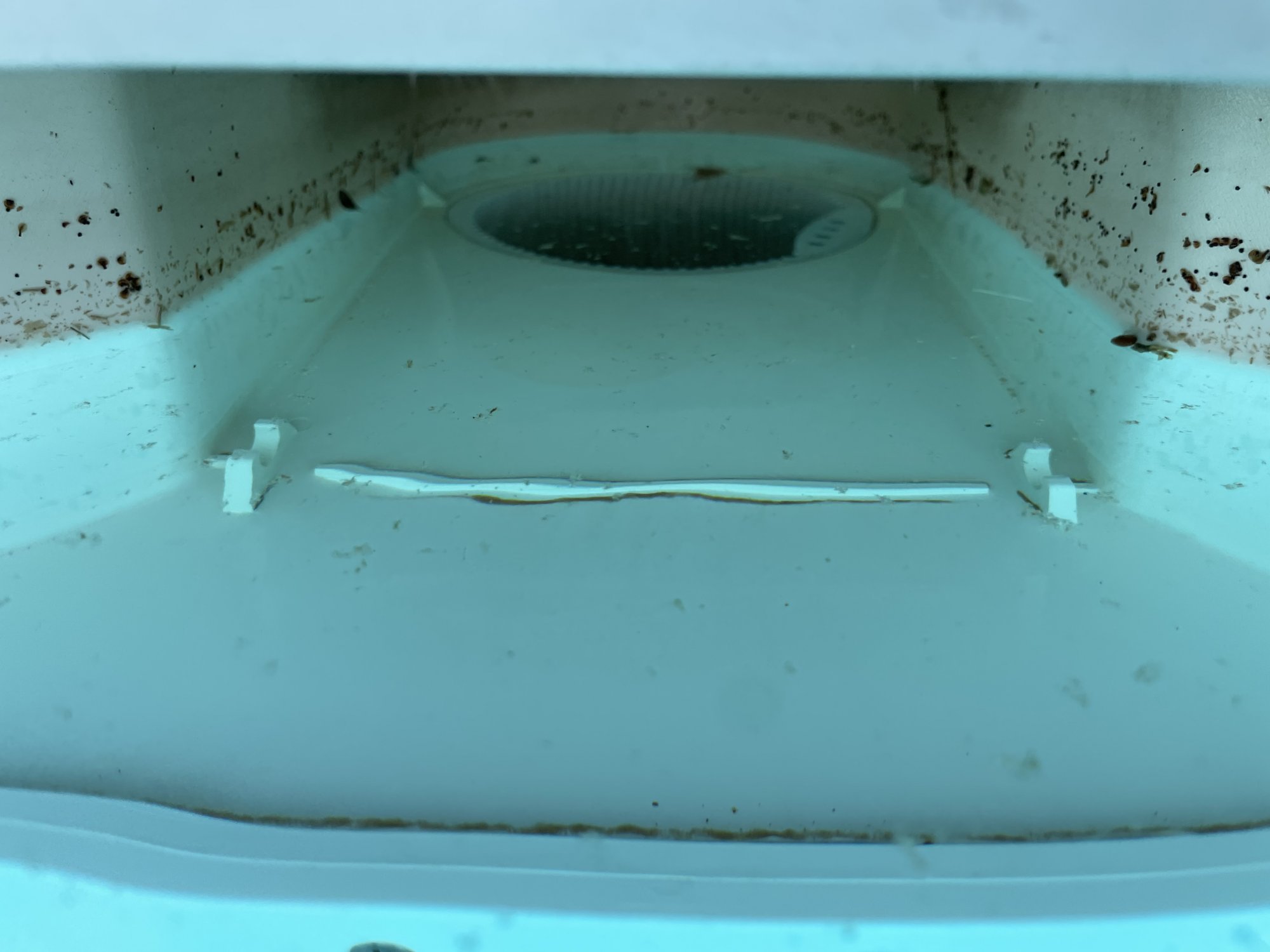 40211675-5A7A-44D2-99D3-62DED72053A9.jpeg