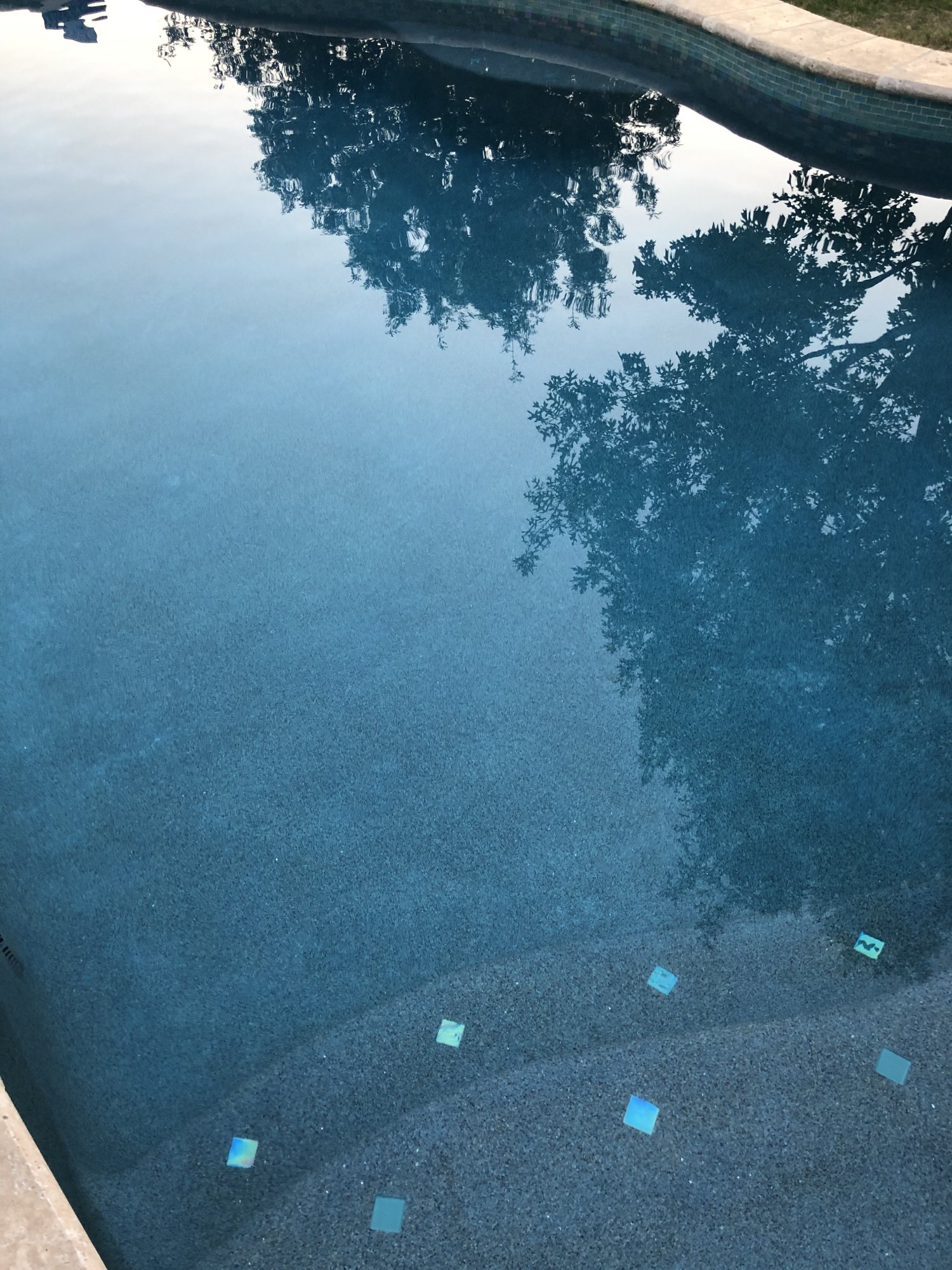 403E21DF-133B-434F-A70A-B5E1819CEE25.jpeg