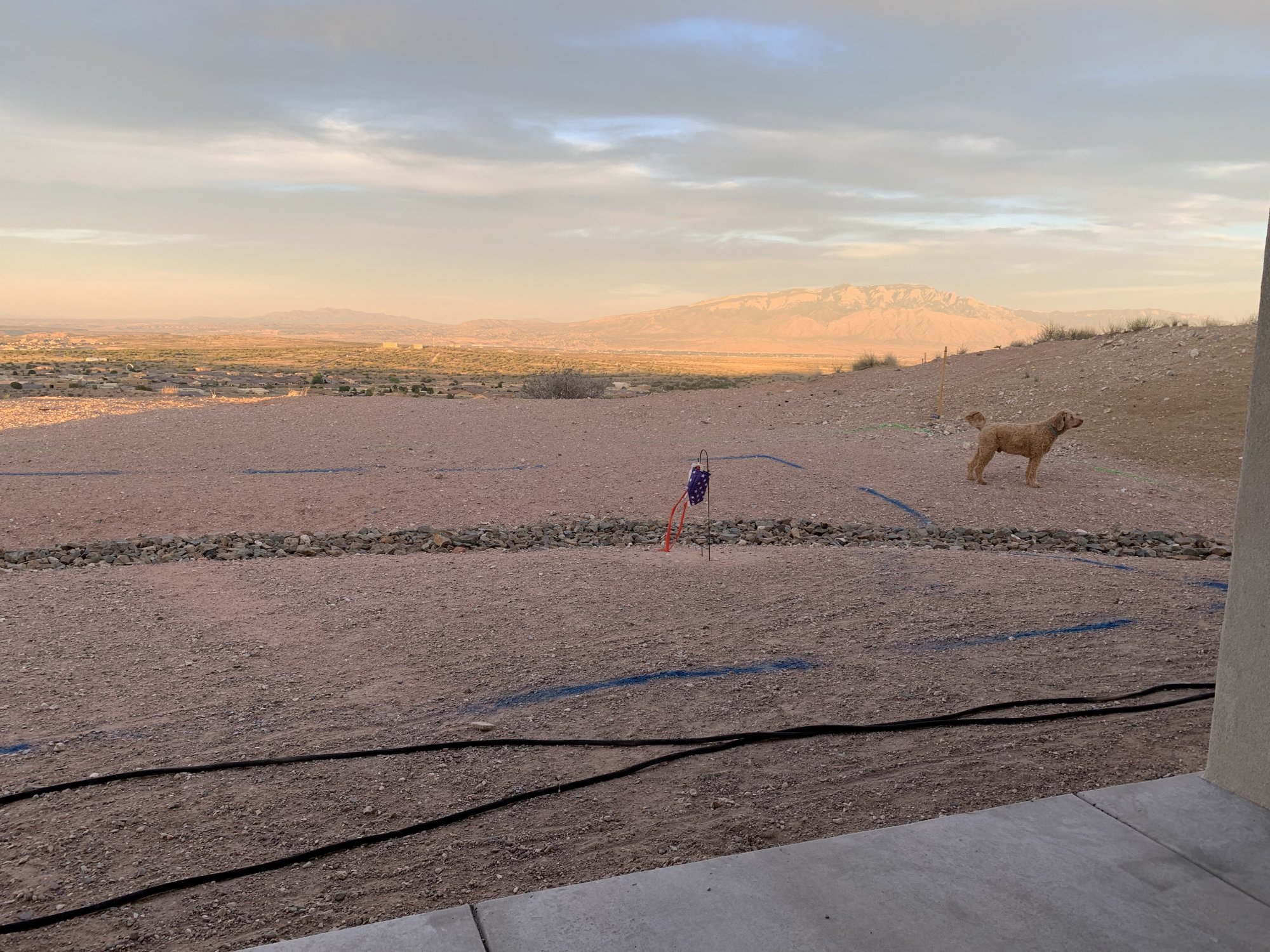 416718DF-0EA6-436F-9267-462D7CA36F2C.jpeg