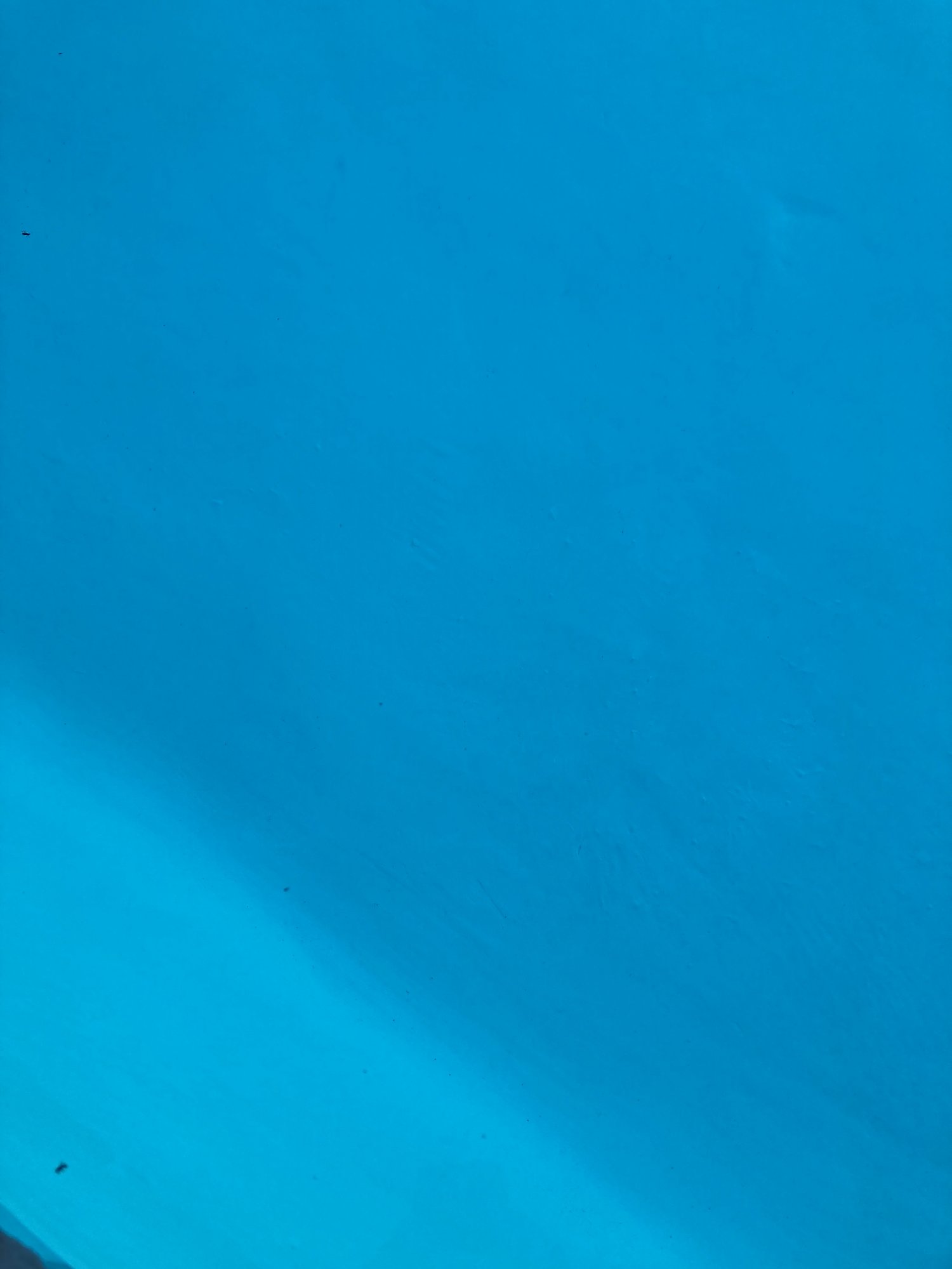 42A1476A-35E2-4D7F-9FBC-B17FBCD824B2.jpeg