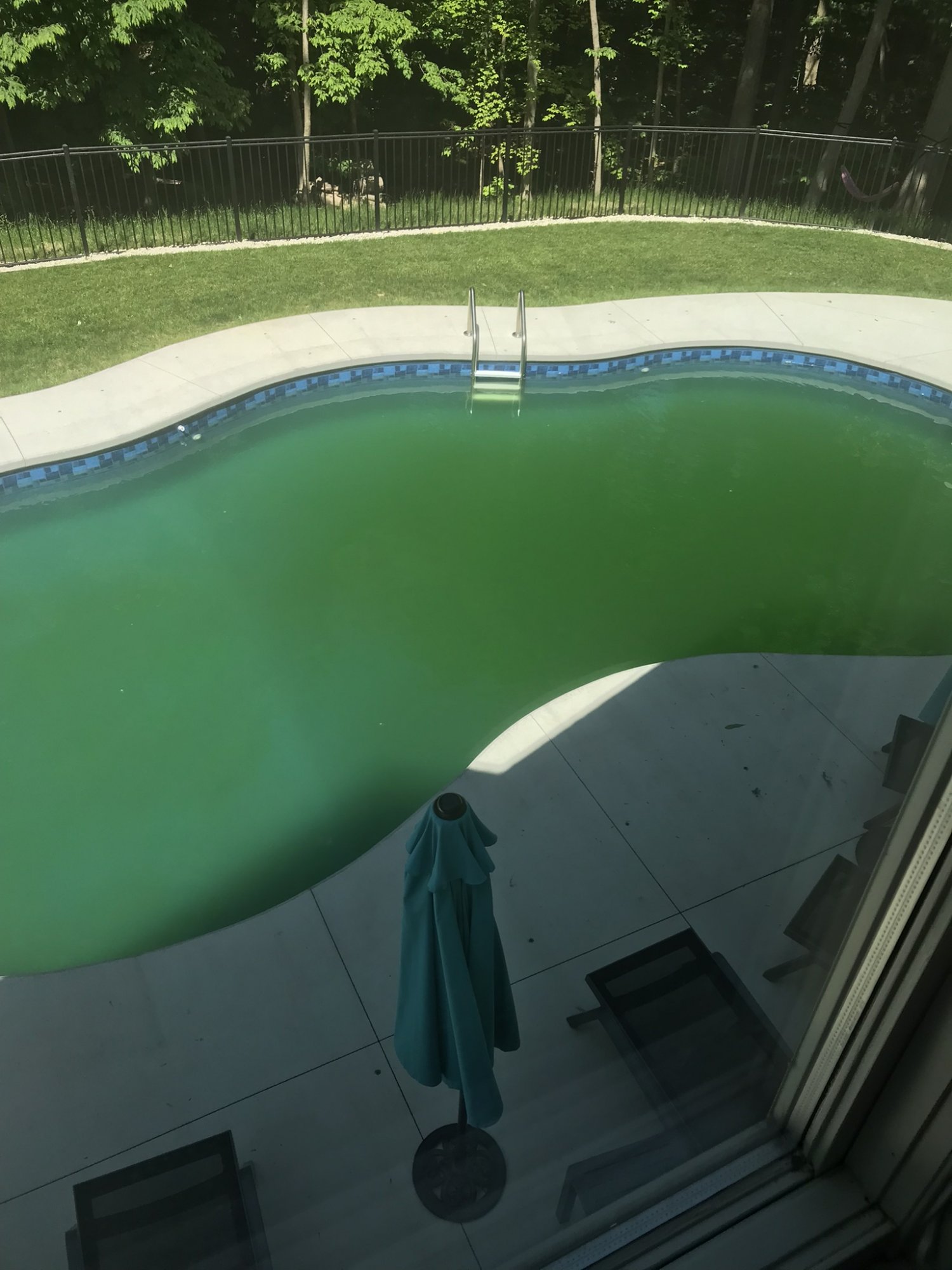 44625718-318E-42D7-96EE-7504469A0AE5.jpeg