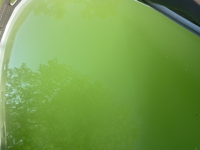 460557F0-E671-49F6-A1C9-929E7C0C13D4.jpeg