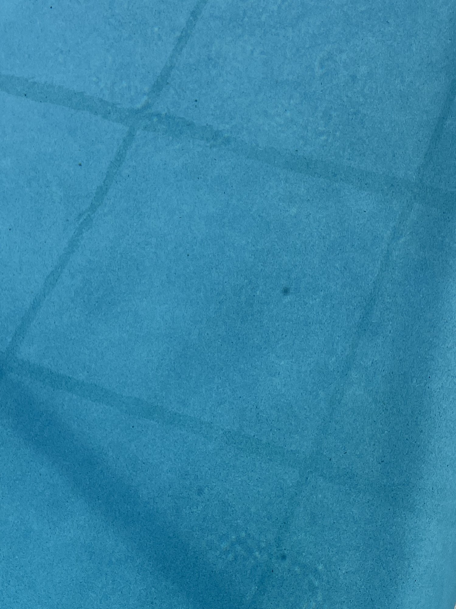 472B022E-2F6C-4048-A6C7-CE2424720B52.jpeg
