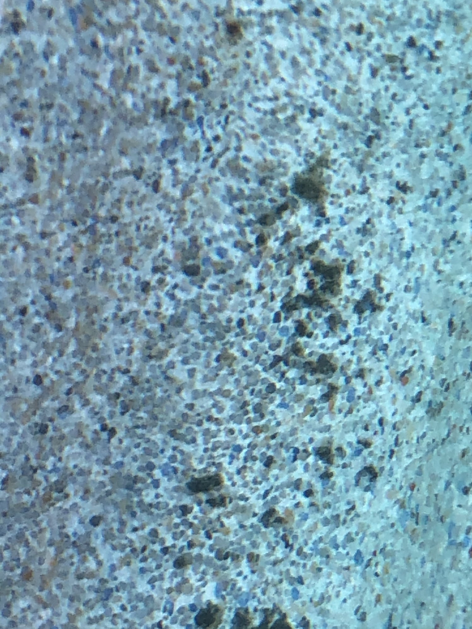 47EB6C59-0D5C-4C84-8B60-1DA134DD8AE5.jpeg