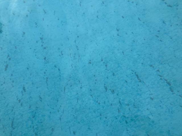 49076851-7A30-4EB3-B371-E2A6D471D02E.jpeg