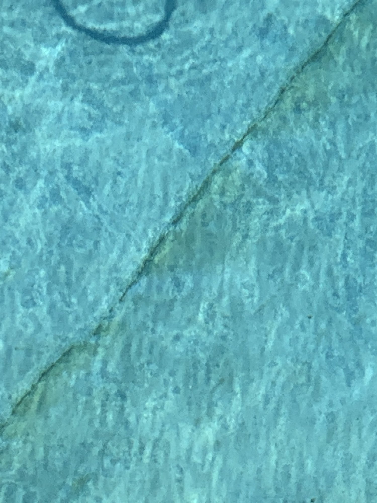 4D914322-436B-4839-9D6E-D9508188B390.jpeg