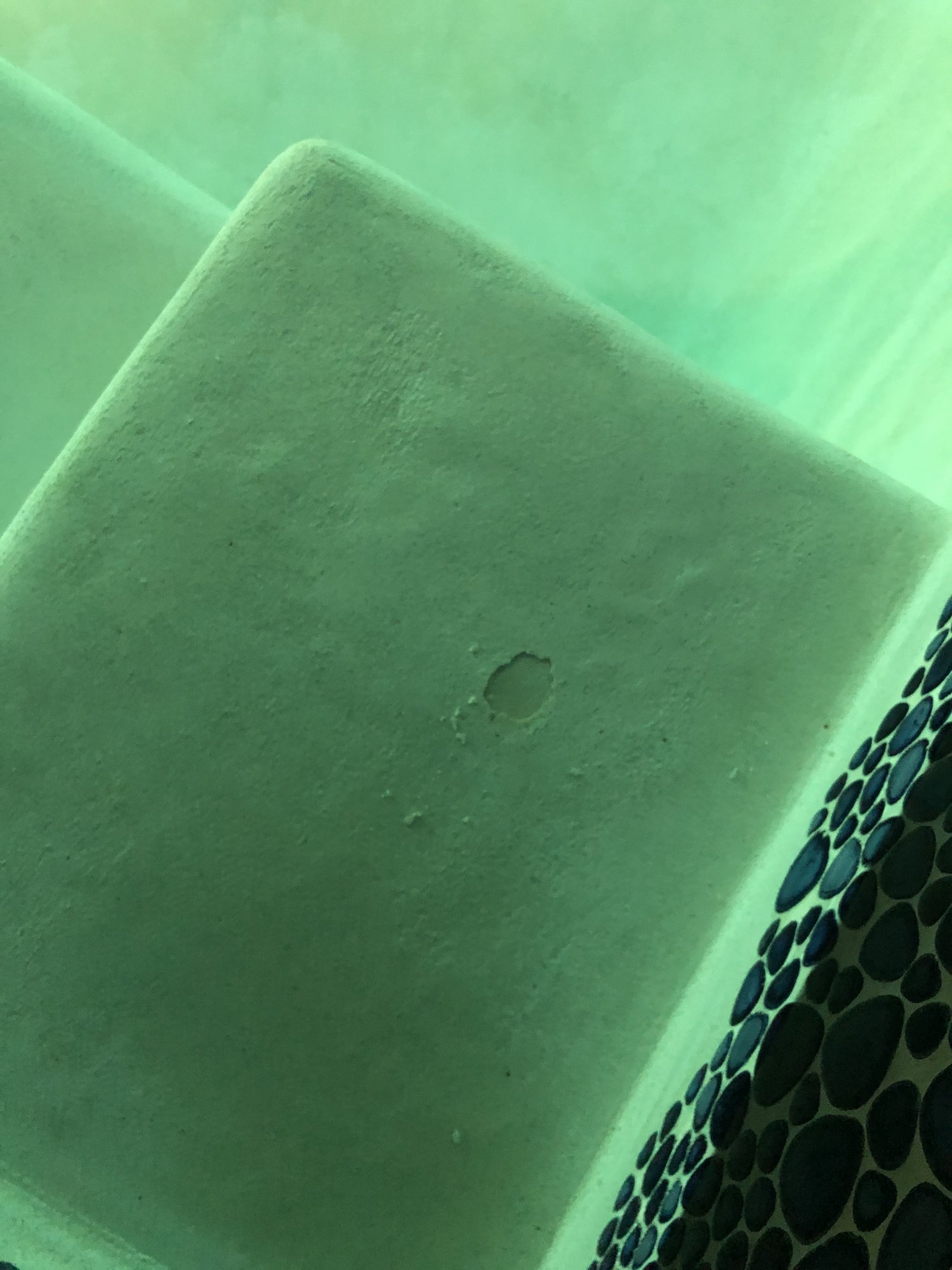 4E6367A5-D53D-4B5B-BFC8-CAA3C07C056F.jpeg