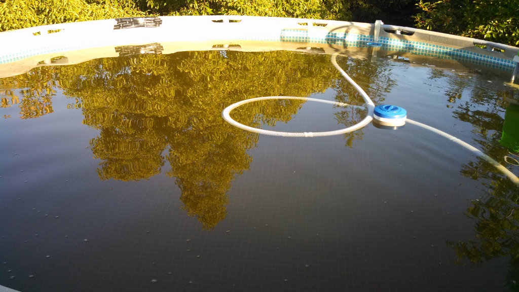 5-10-13 7 days filtering 24-7 (1024x576).jpg