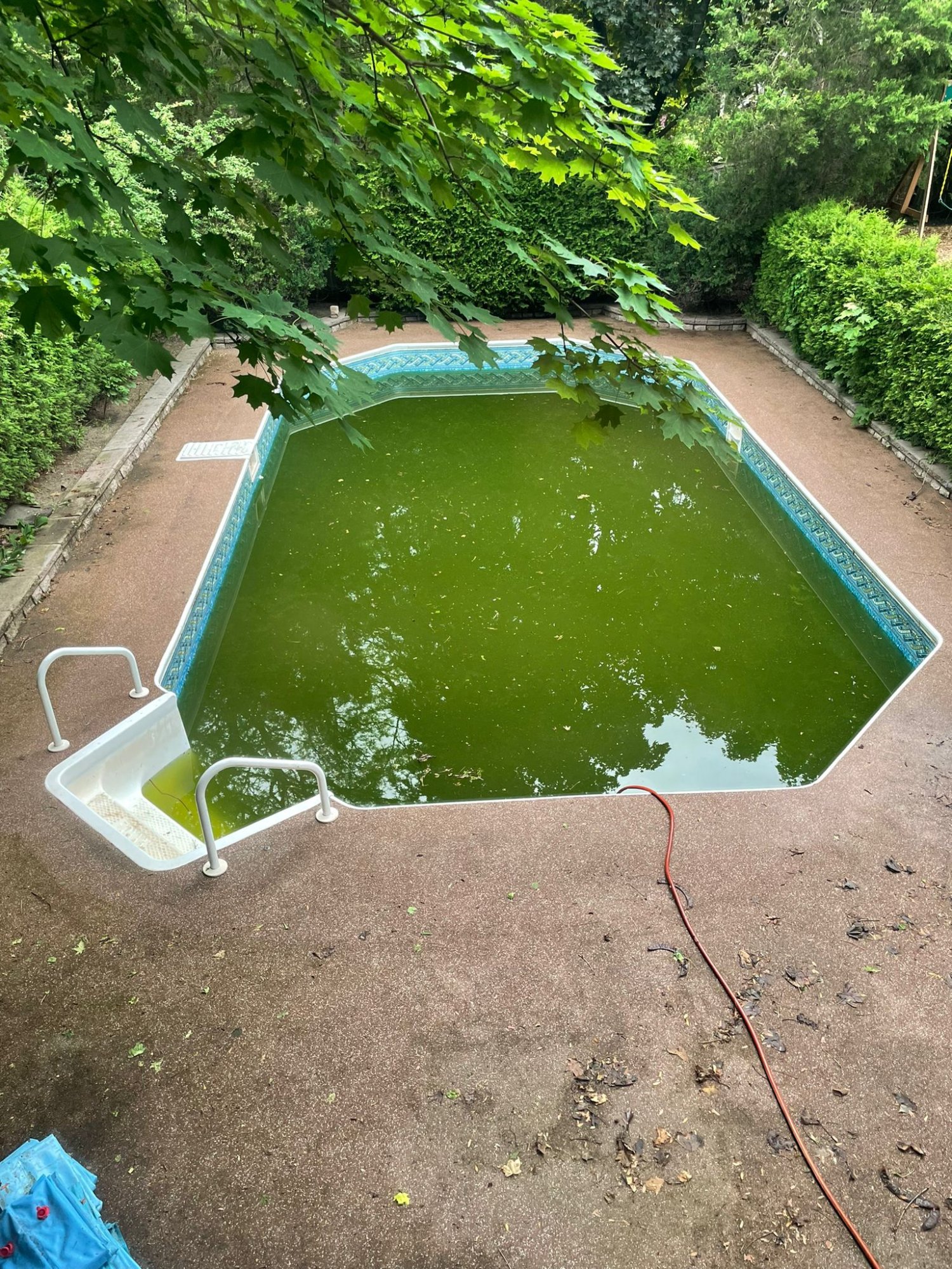 51CA092E-BC21-48AD-99B0-C0A646F16DB1.jpeg