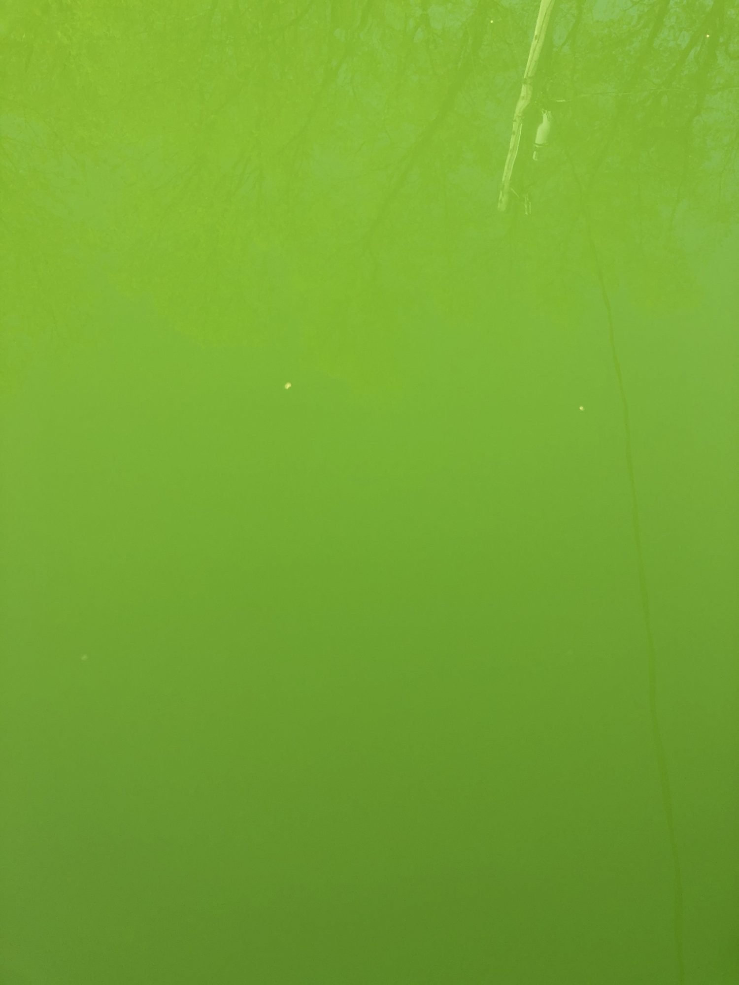 5200668C-8C55-4191-852F-D78B50C2D6C8.jpeg