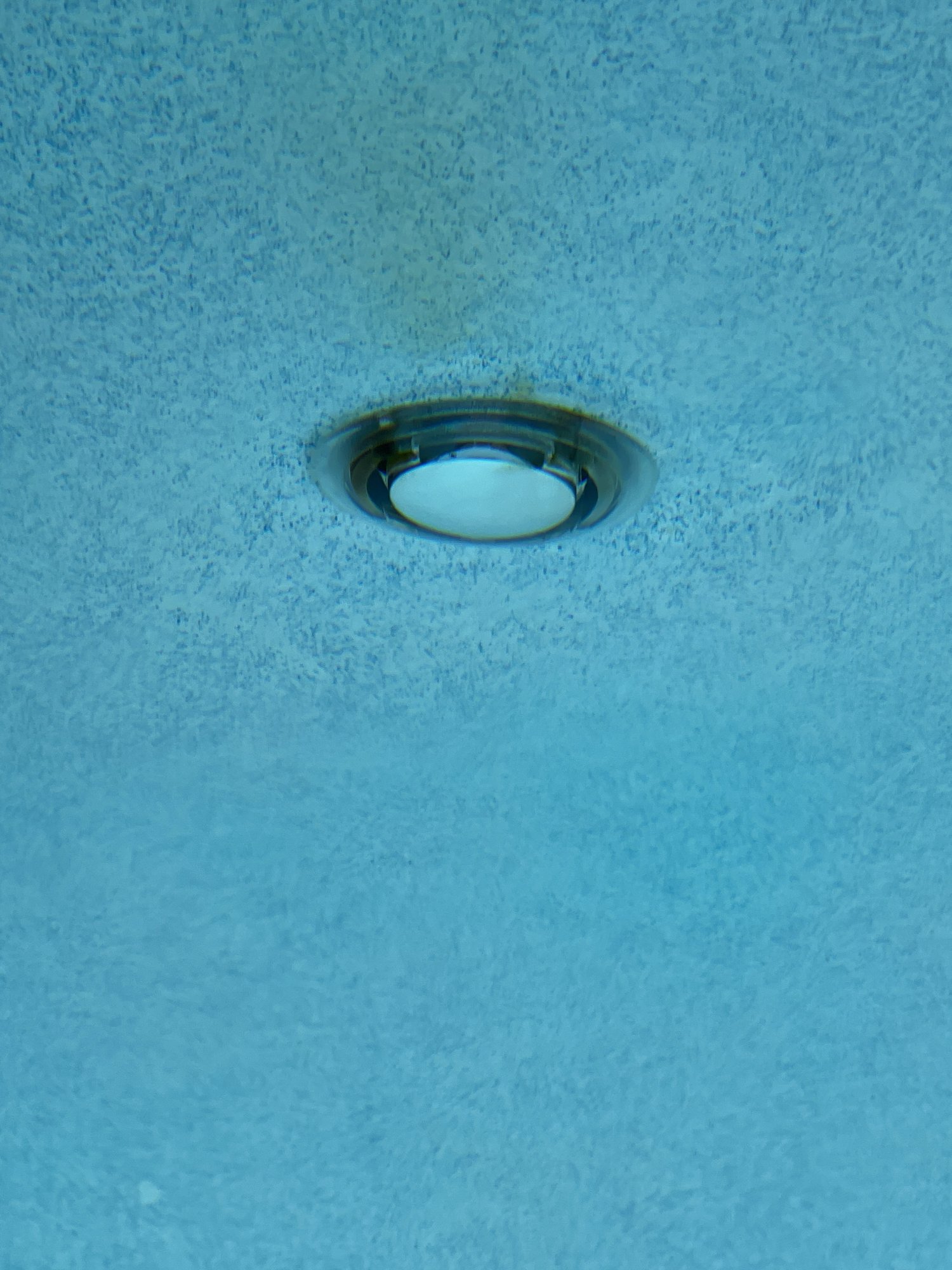 53A66558-47EE-4DF9-A3AD-B67E83EC65AA.jpeg