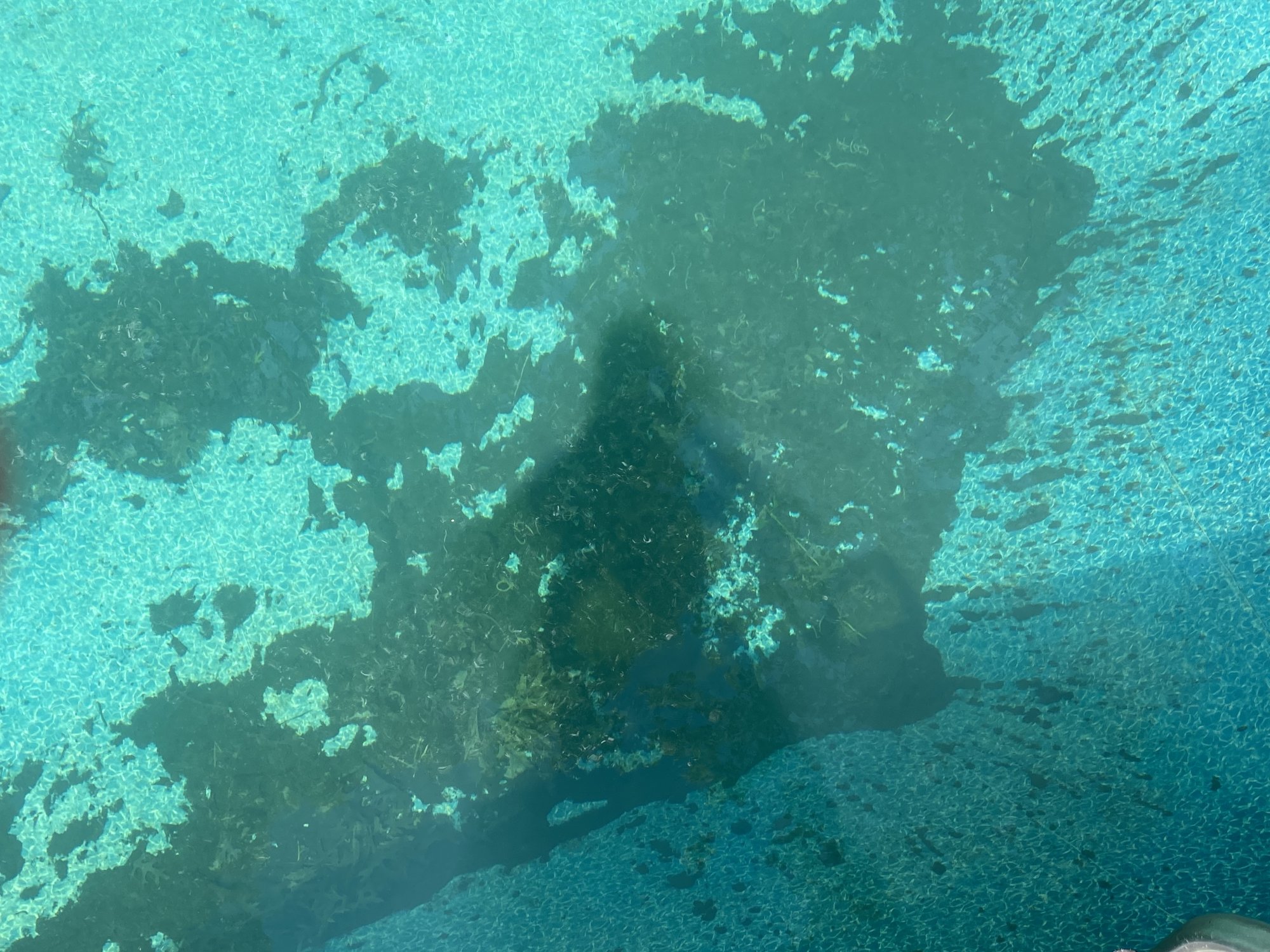 557B4208-A577-44CA-B239-086983C57889.jpeg
