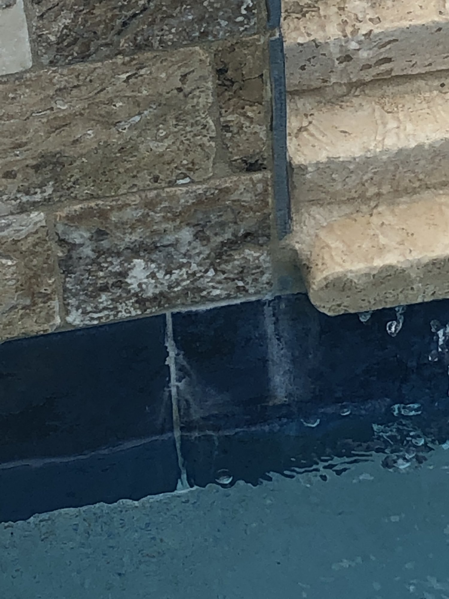 55838E47-74D5-49F1-B7D9-519695D91306.jpeg