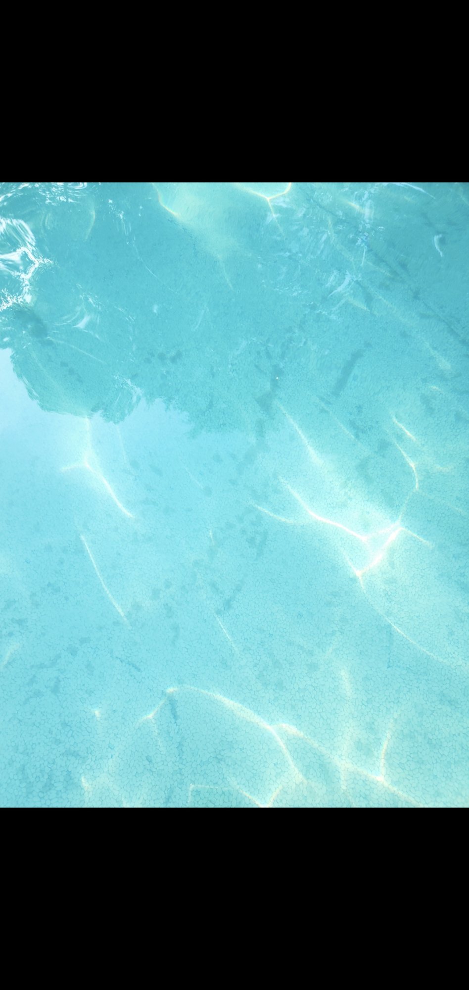 55FD64A6-48A8-4F15-A0AA-8D8F855DAA66.jpeg