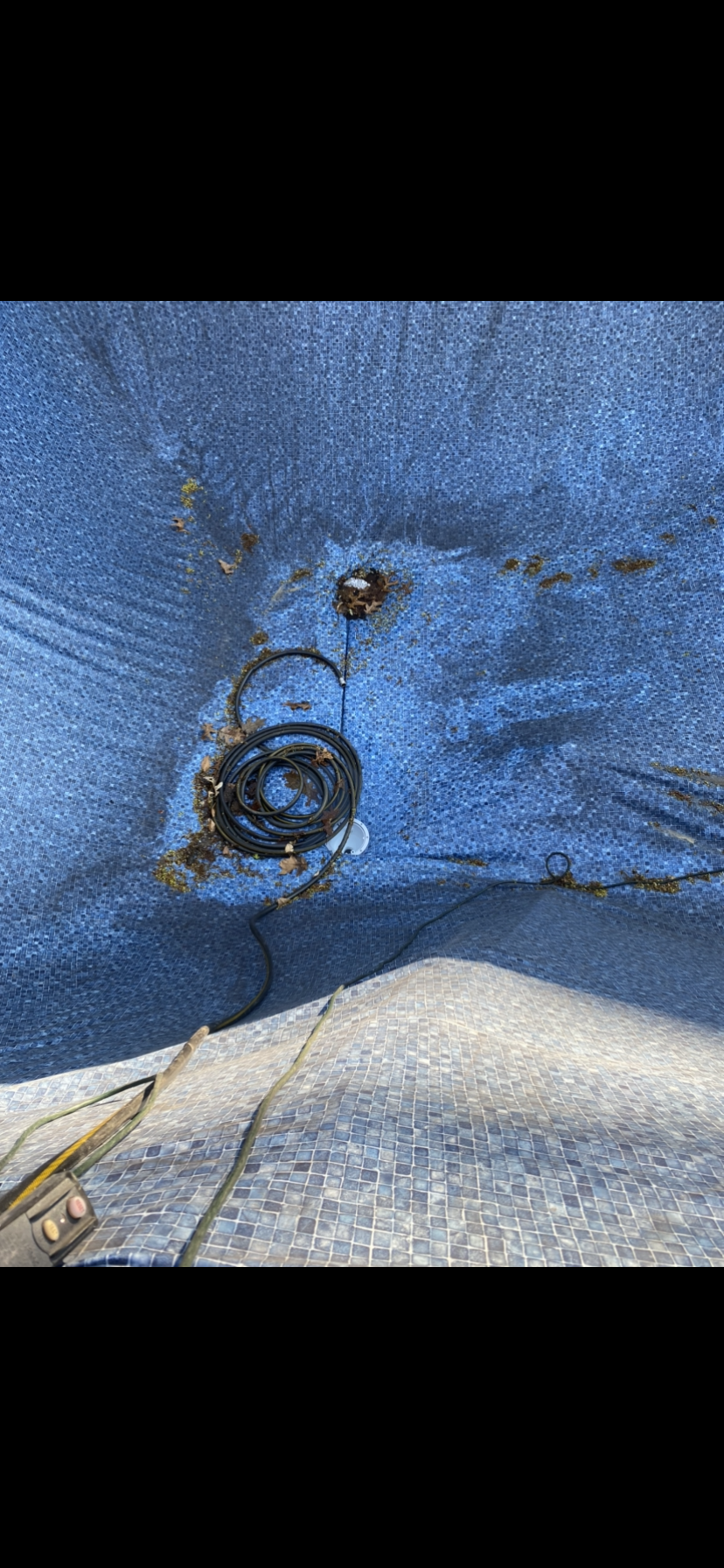 57B208D7-3910-470D-BA91-F46EE76417EA.png