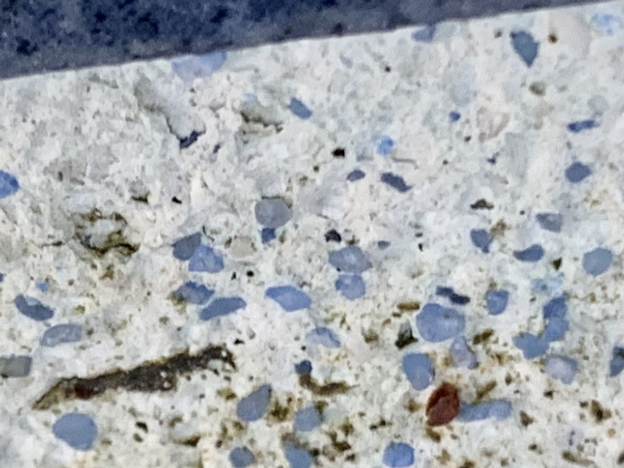 59A42258-3074-4809-B603-35F4770152AB.jpeg