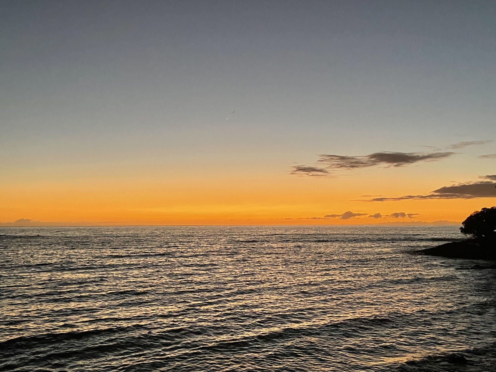 5A615987-1B41-4D46-8DF2-E533F76DA367.jpeg