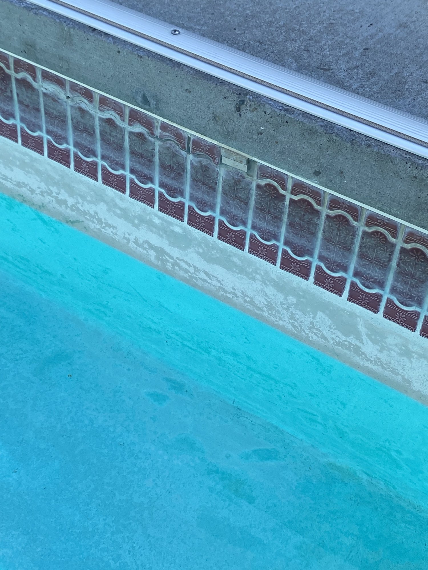 5B0342EA-9177-409A-92C7-B91D2DD0F641.jpeg