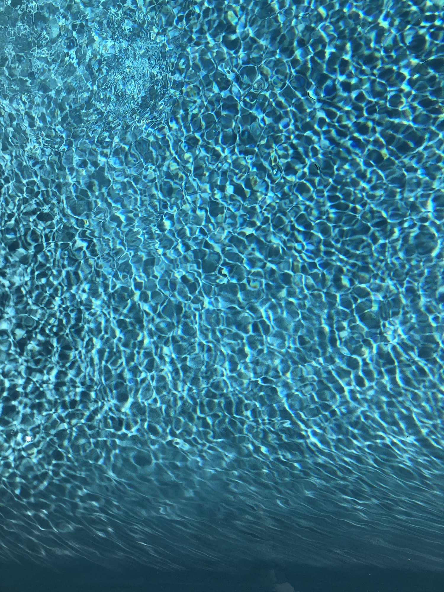 5BEBE252-1E39-46E0-A537-C8AAECCDD952.jpeg