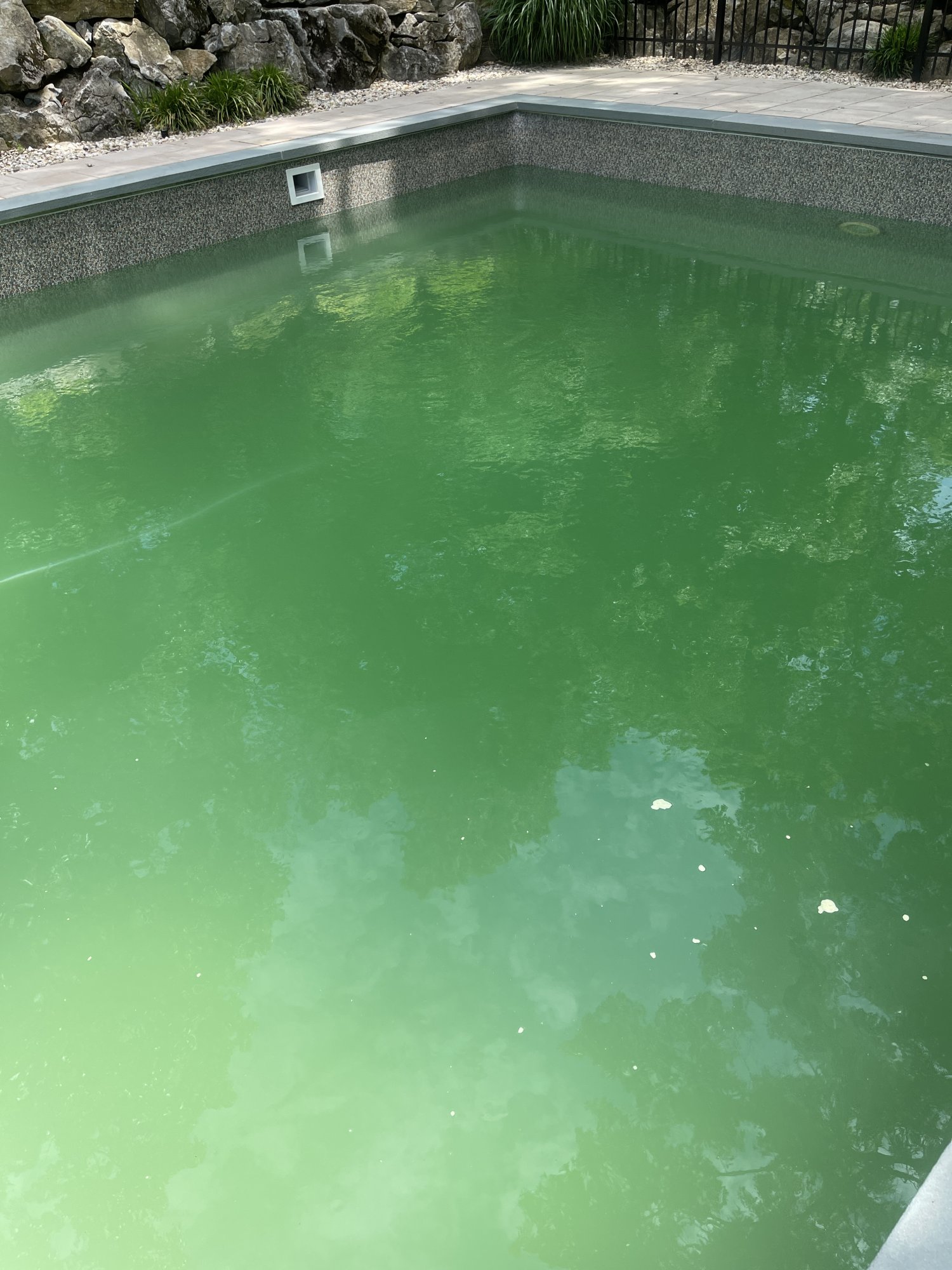 5D63BAFF-FD02-4182-B25F-349736B9ABA7.jpeg