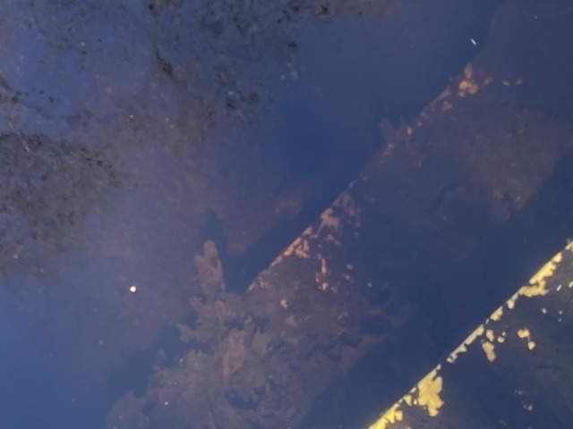 60A7C14D-64AE-42C0-A94F-6A15DB5BEF96.jpeg