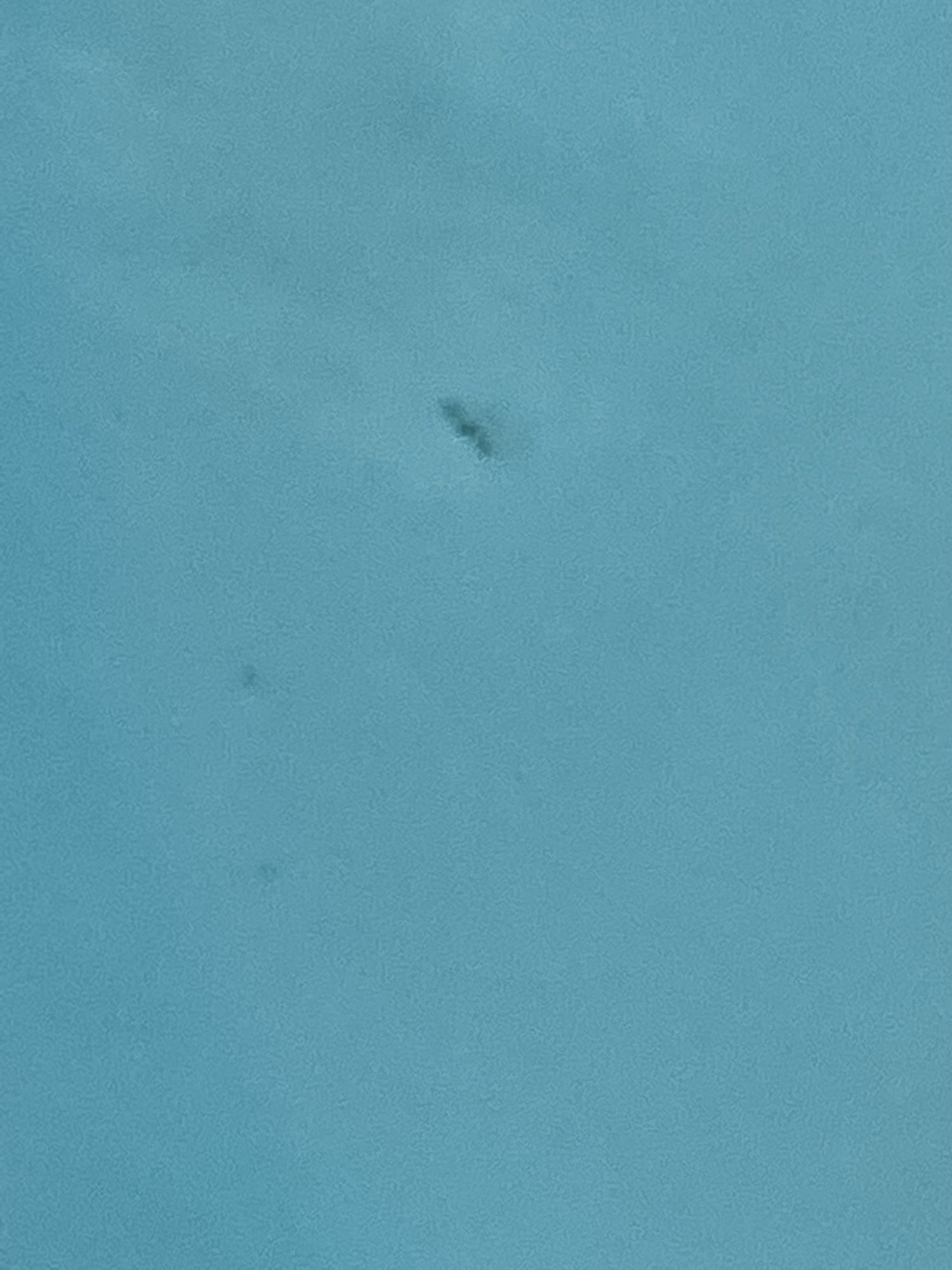 61E50578-3BB4-4593-8131-98E4CA6C90AB.jpeg