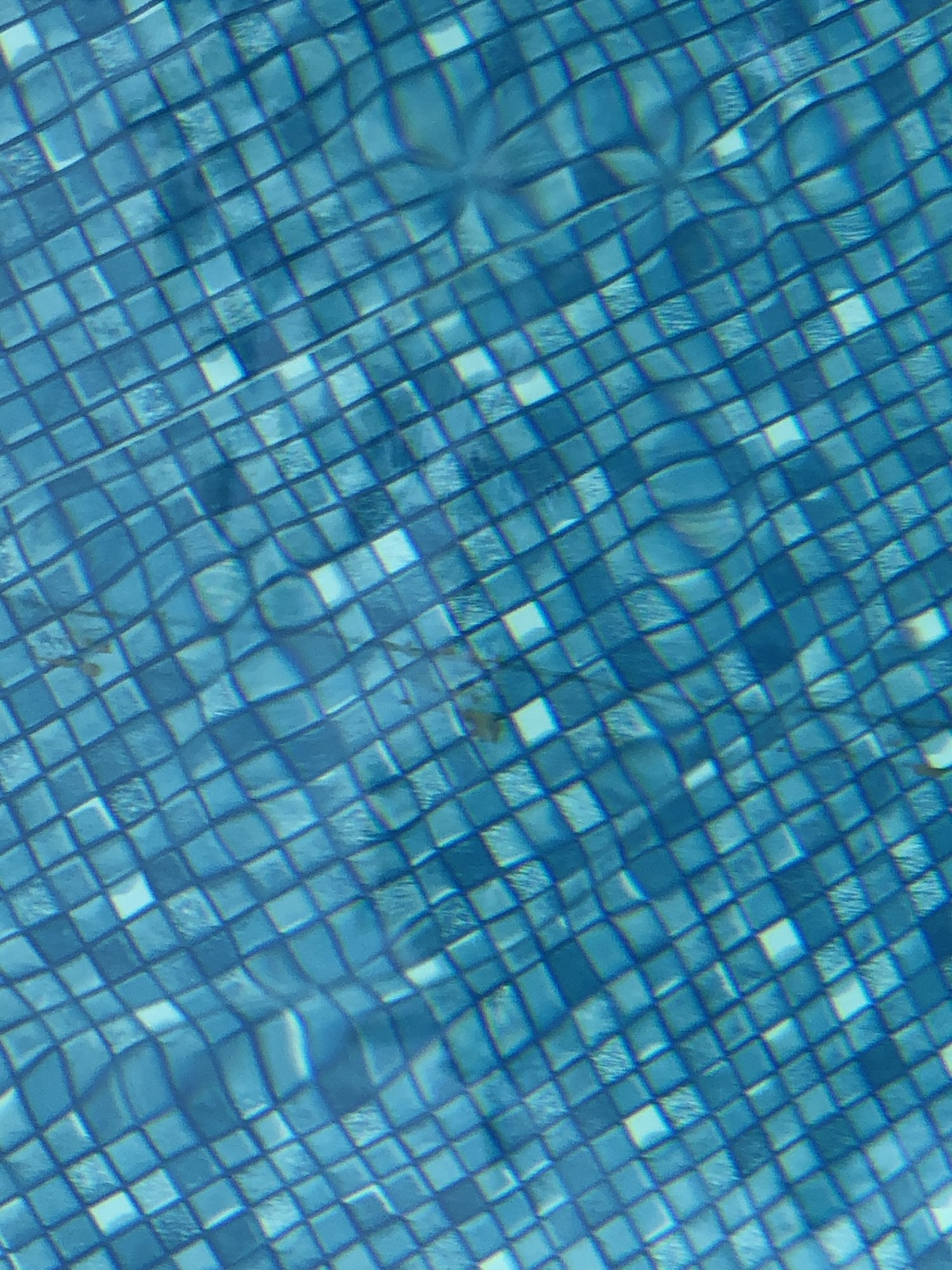 6297403C-ABC1-4014-B542-F7E445DA1D63.jpeg