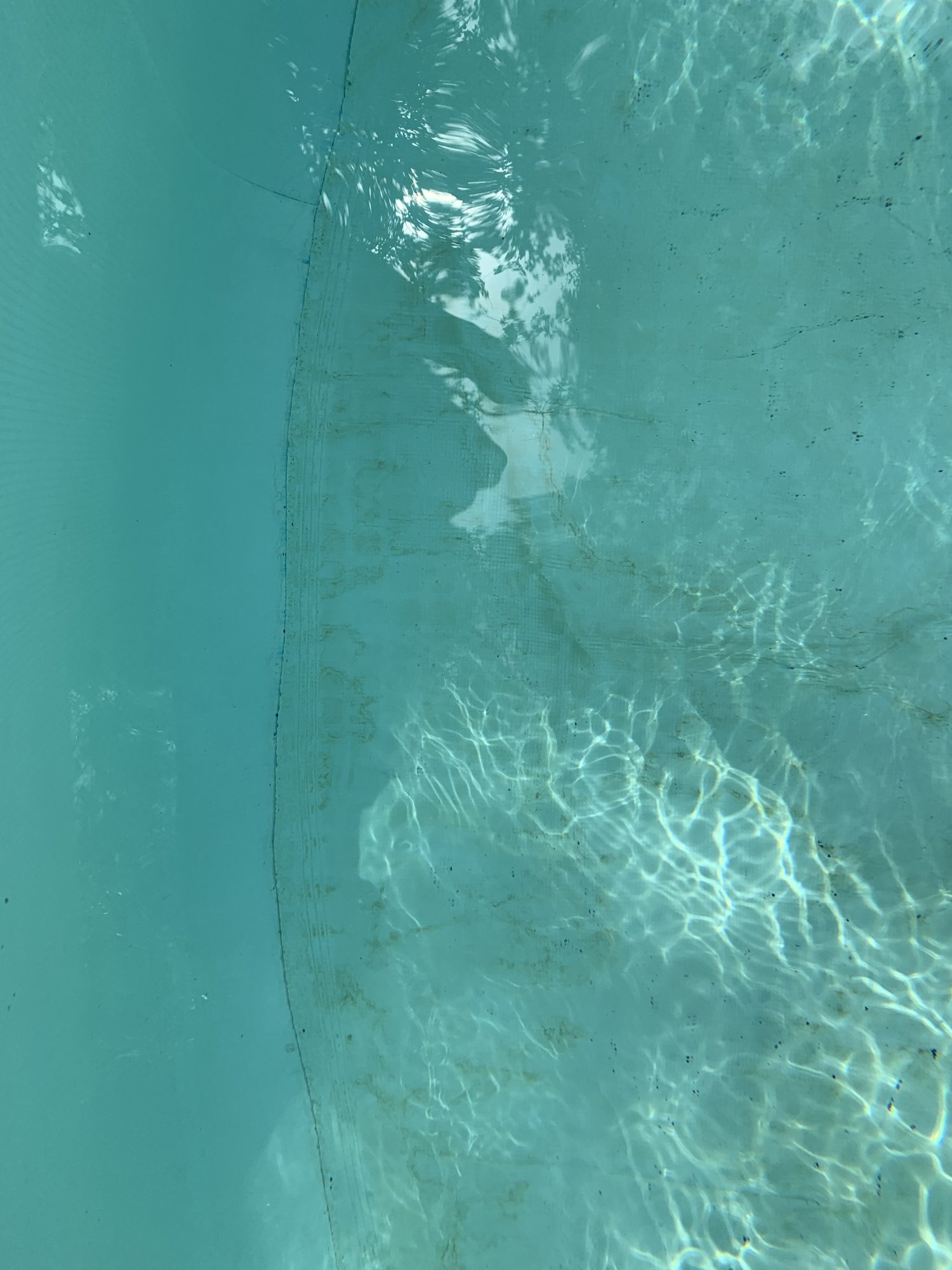63181FE9-B60B-424E-A78E-23C05E594A8C.jpeg