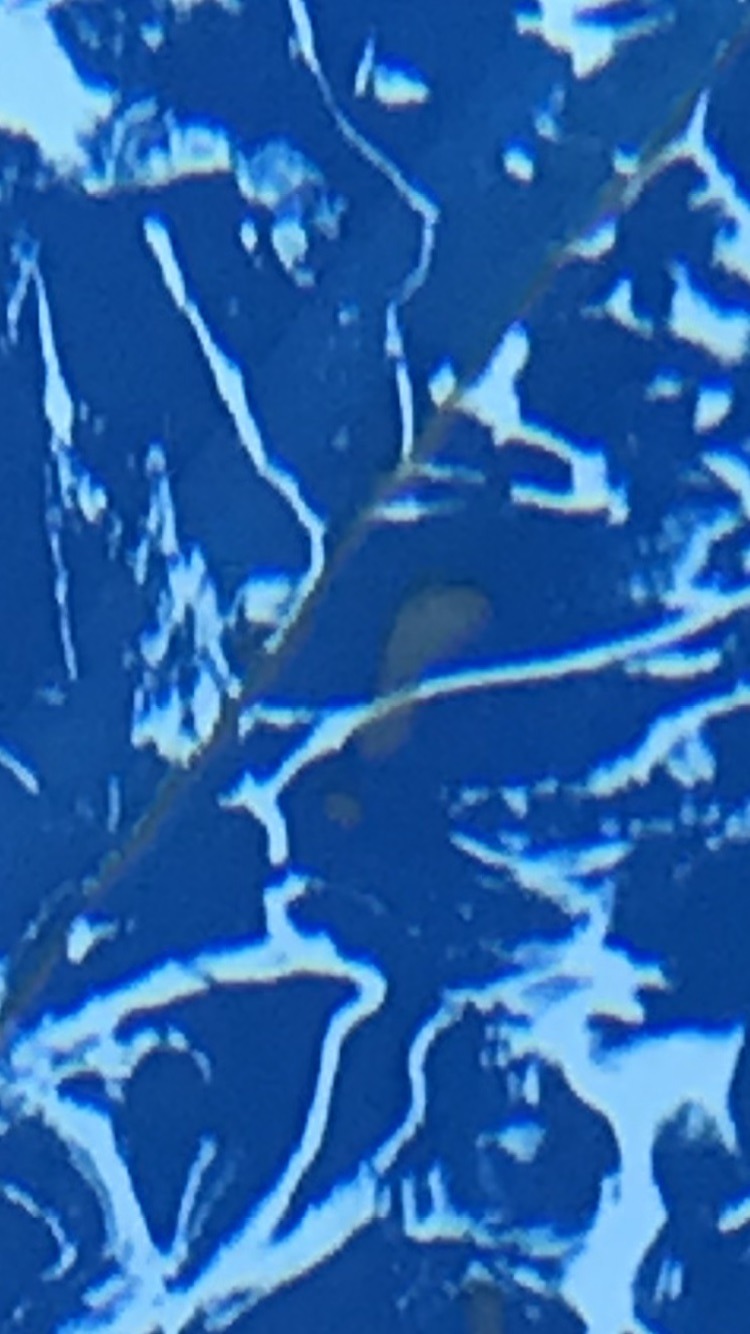 661DC9DE-B70A-4FCE-8E65-E47BB31F10B2.jpeg