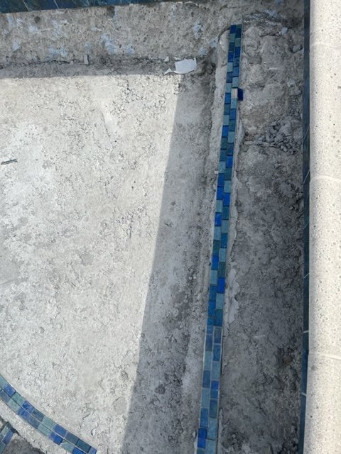 67785503-8740-4FA7-9428-C95CE3EEE5DC.jpeg