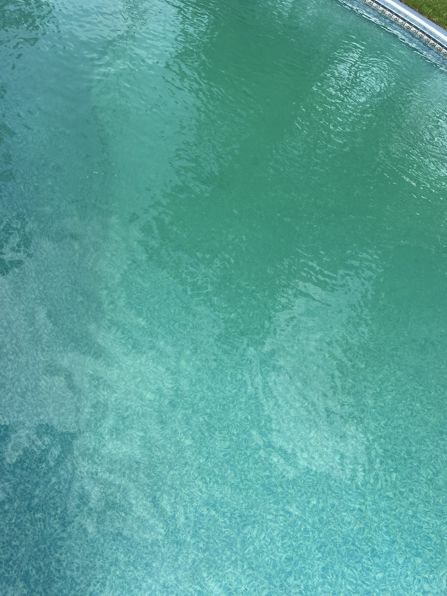 68C15D50-002F-4D35-90FE-63F440E8CF5C.jpeg
