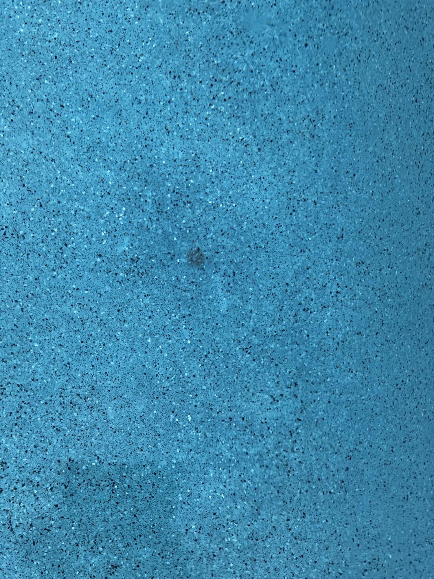 6A1D4521-2687-4E16-8E39-4DF6976EF8EA.jpeg