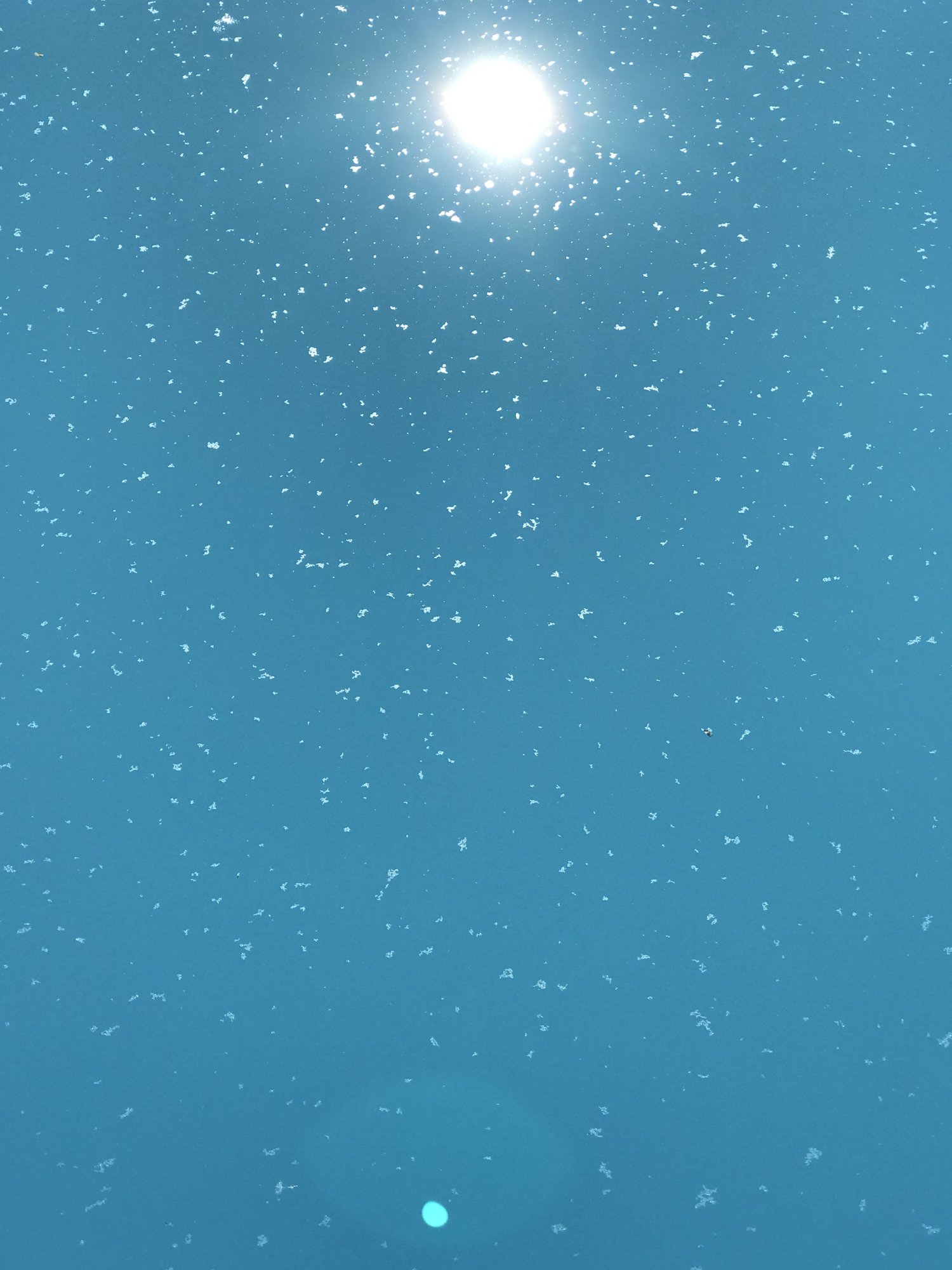 6A6DC3A2-152E-4E63-B81A-52E07BD02C53.jpeg